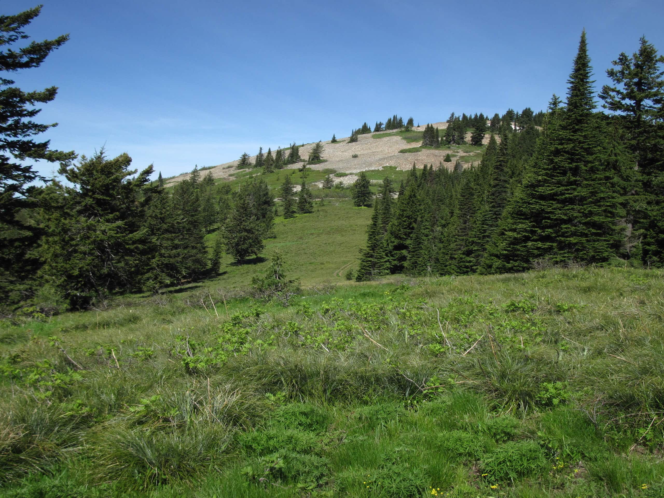 Graham and Coal Creek Loop Hike