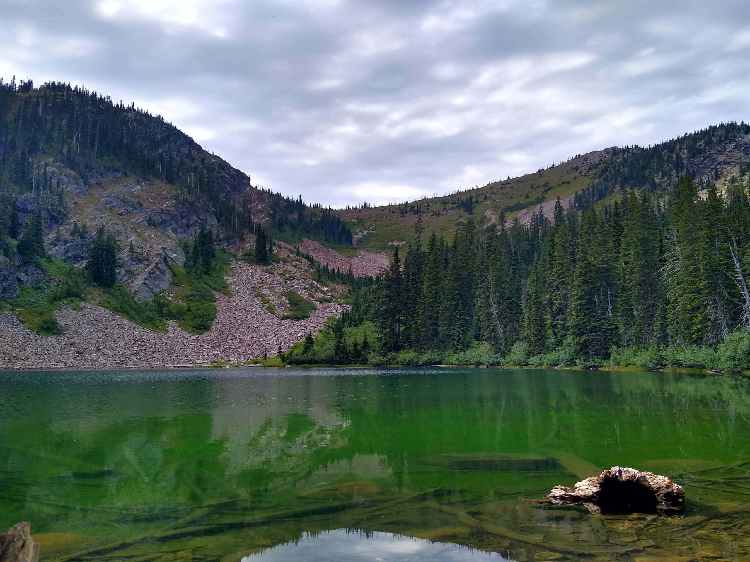 Lake Estelle Trail