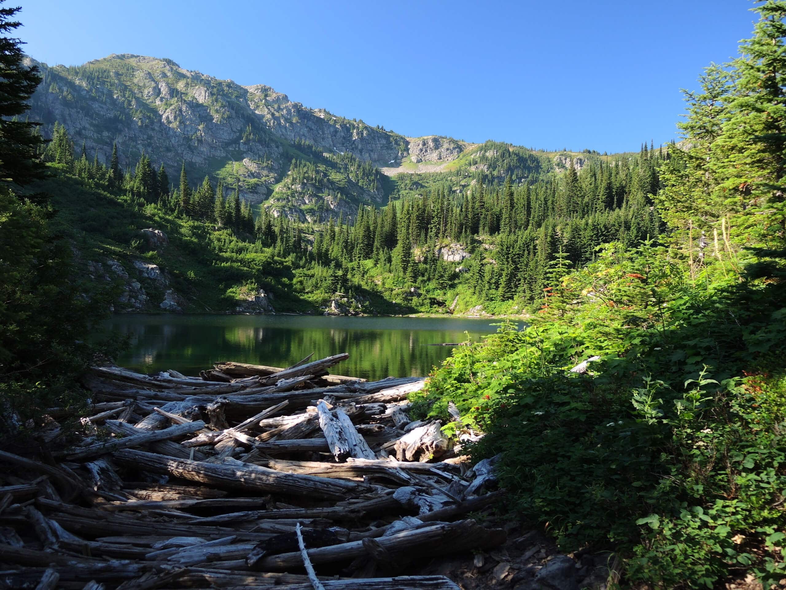 Lone Lake Trail