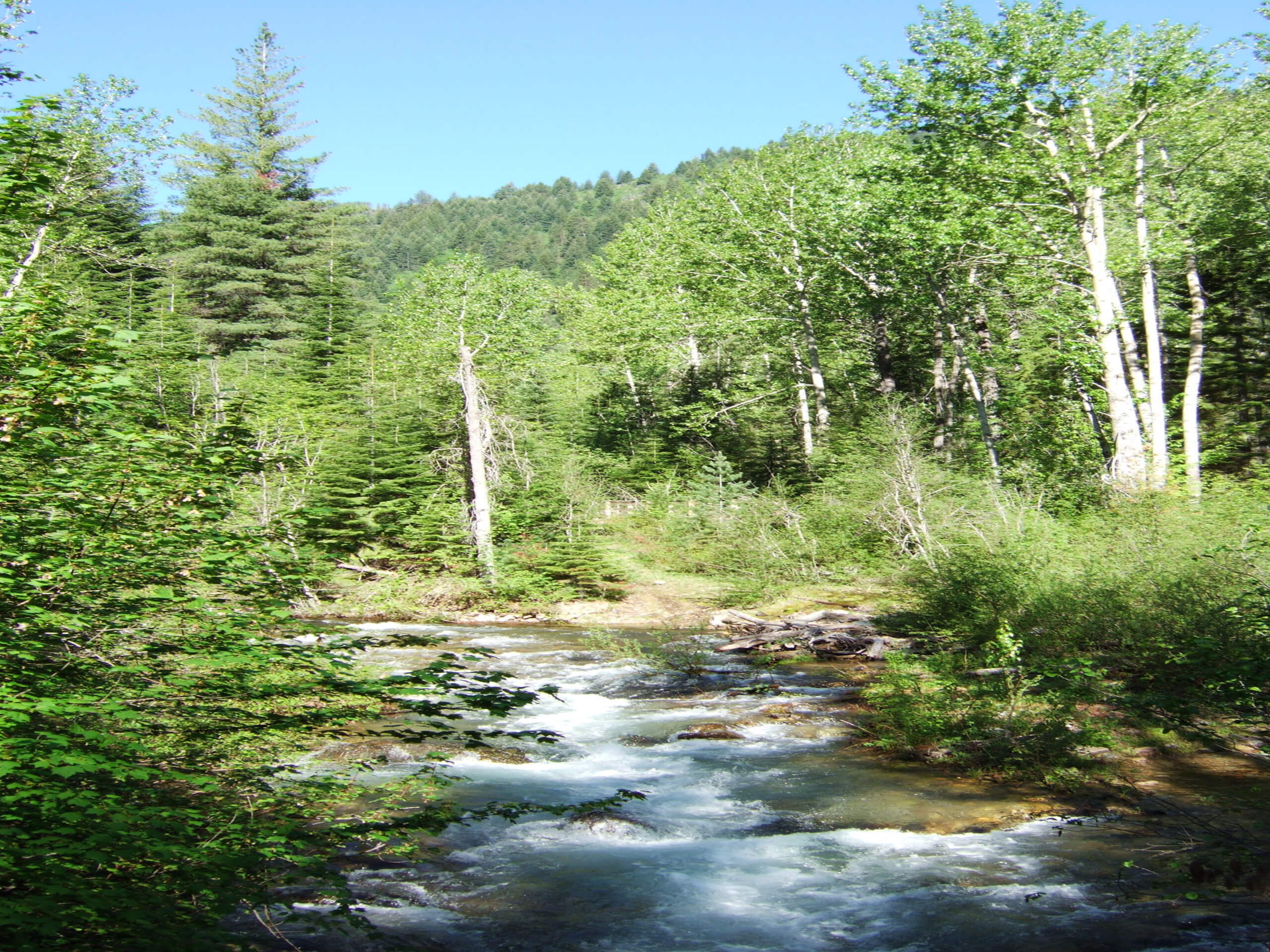 Pulaski Tunnel Trail