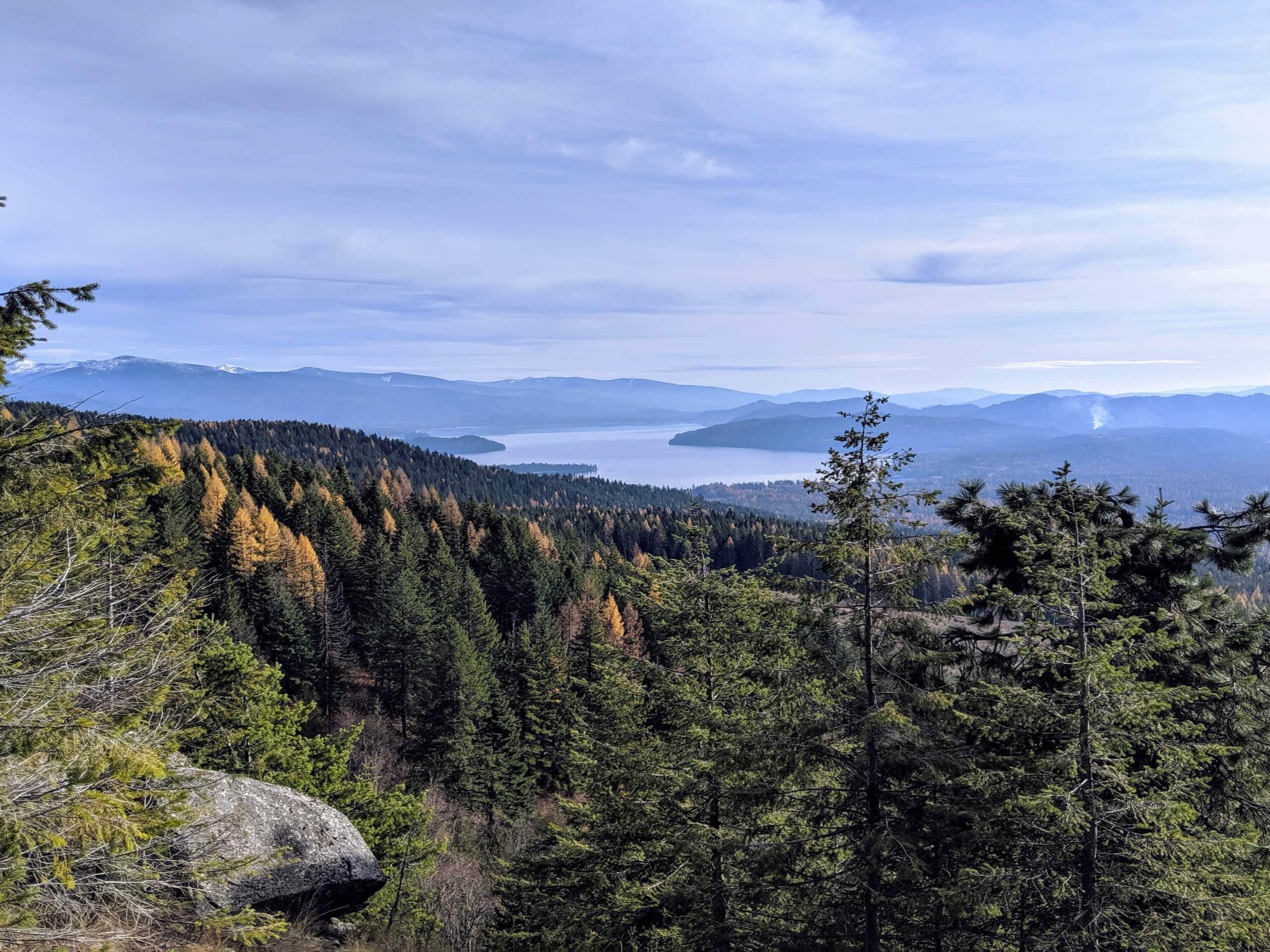 Trail 8, Penn, and Cave Trail Loop