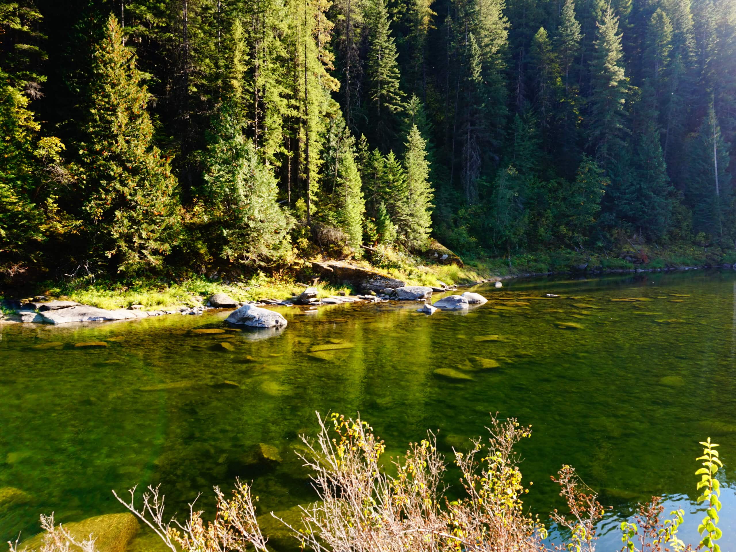 Kelly Creek Hike