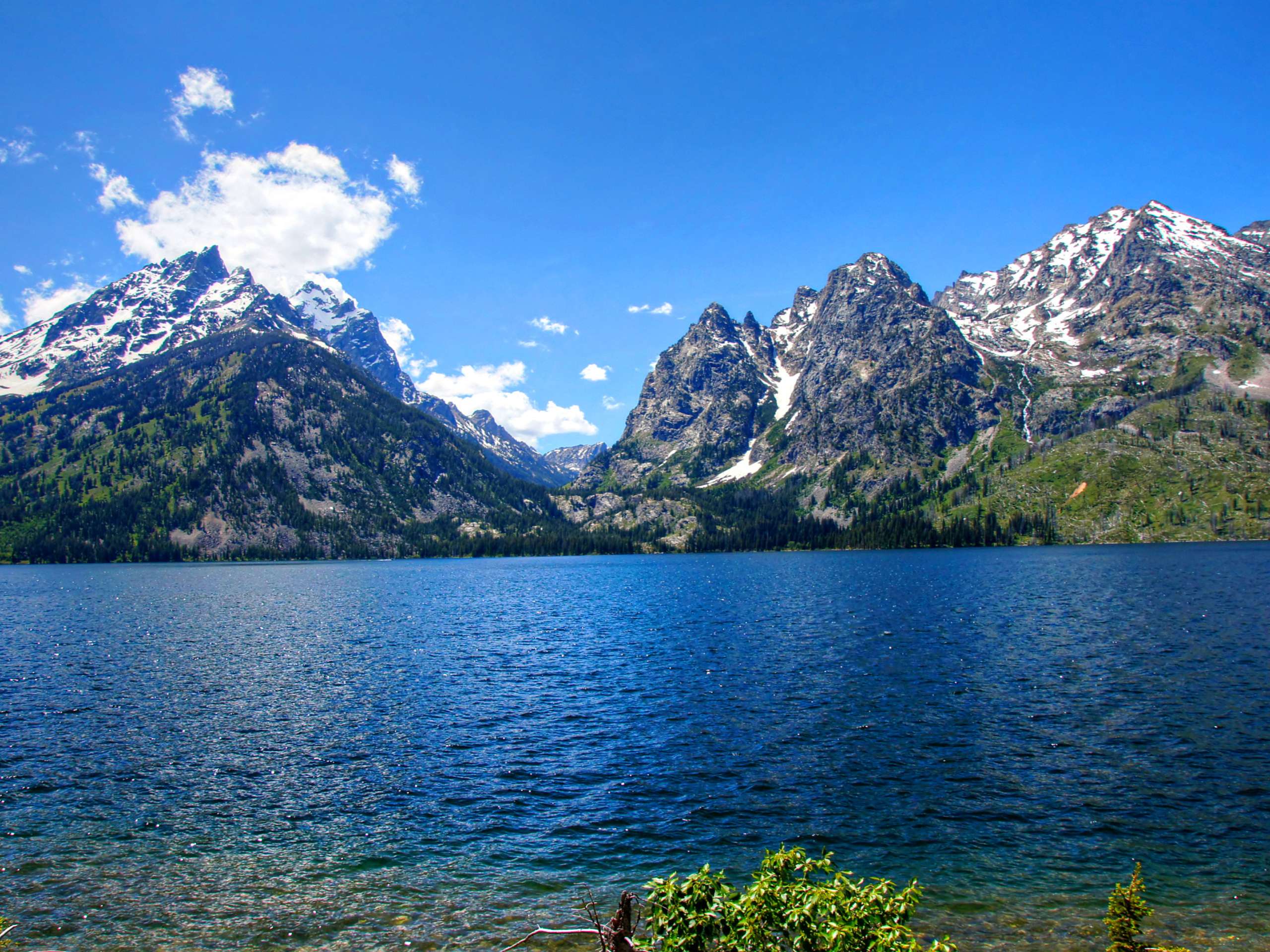 Grand Teton National Park Pathway Hike