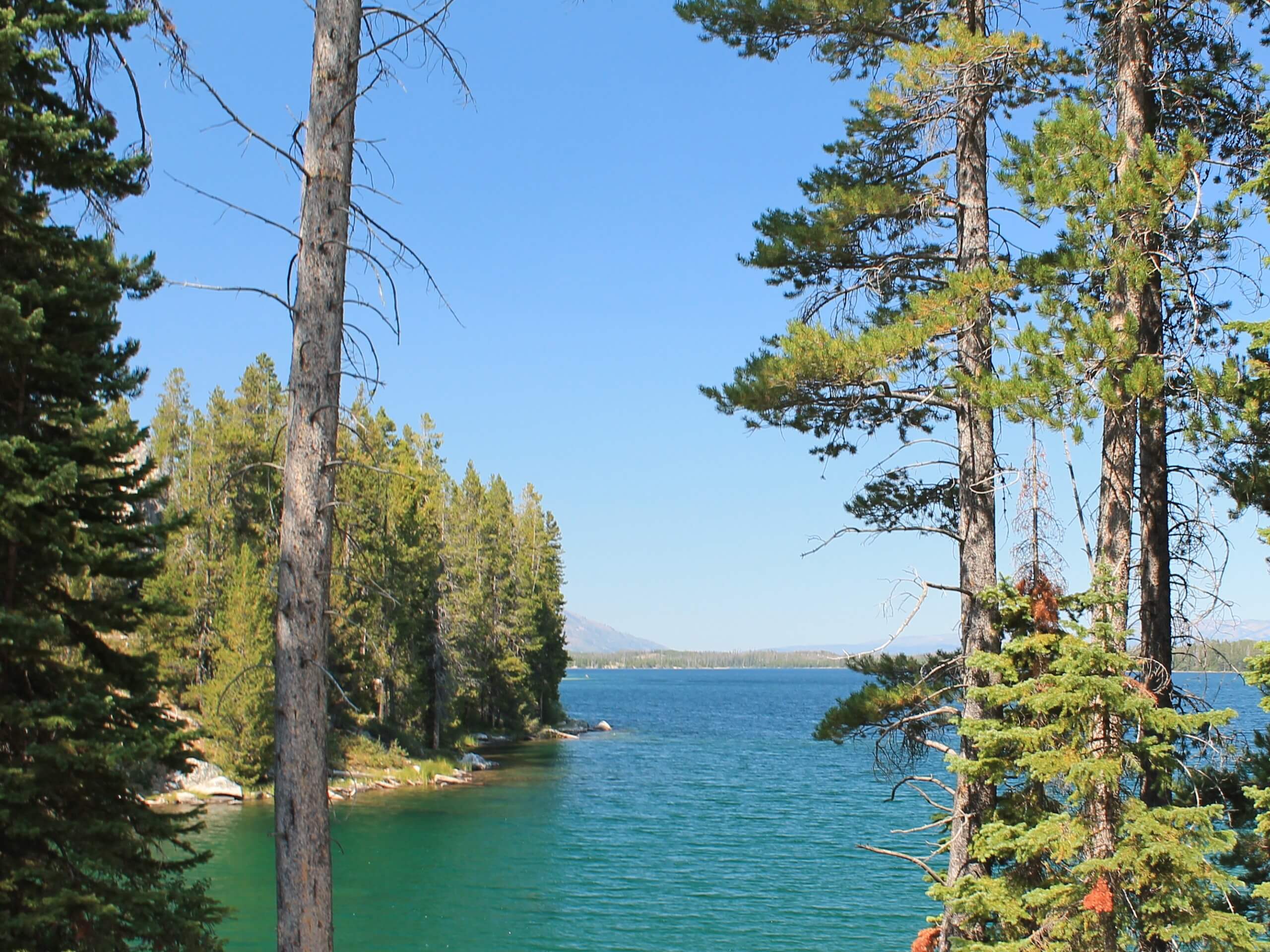 Leigh Lake Trail