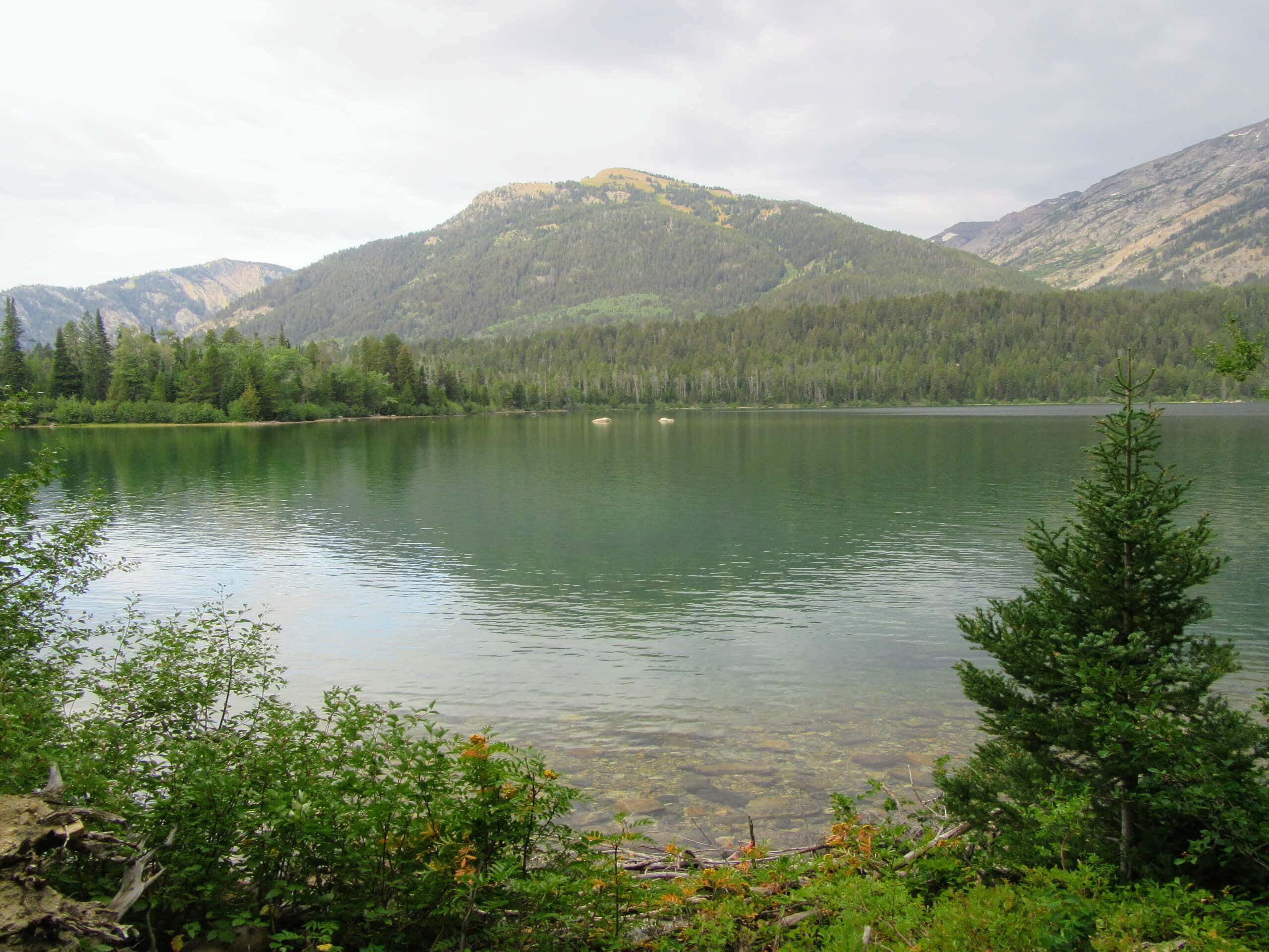 Phelps Lake Hike