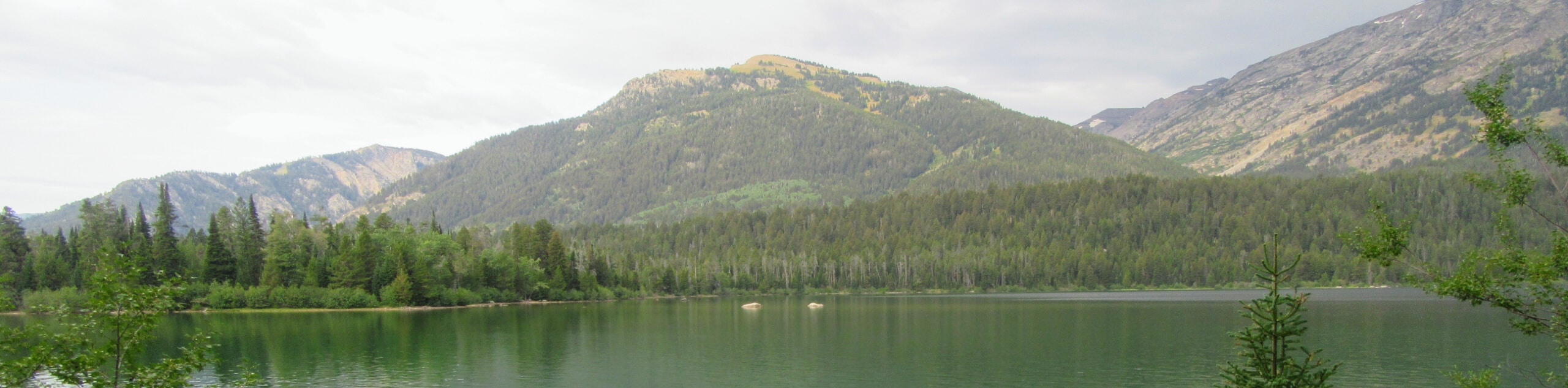 Phelps Lake Hike
