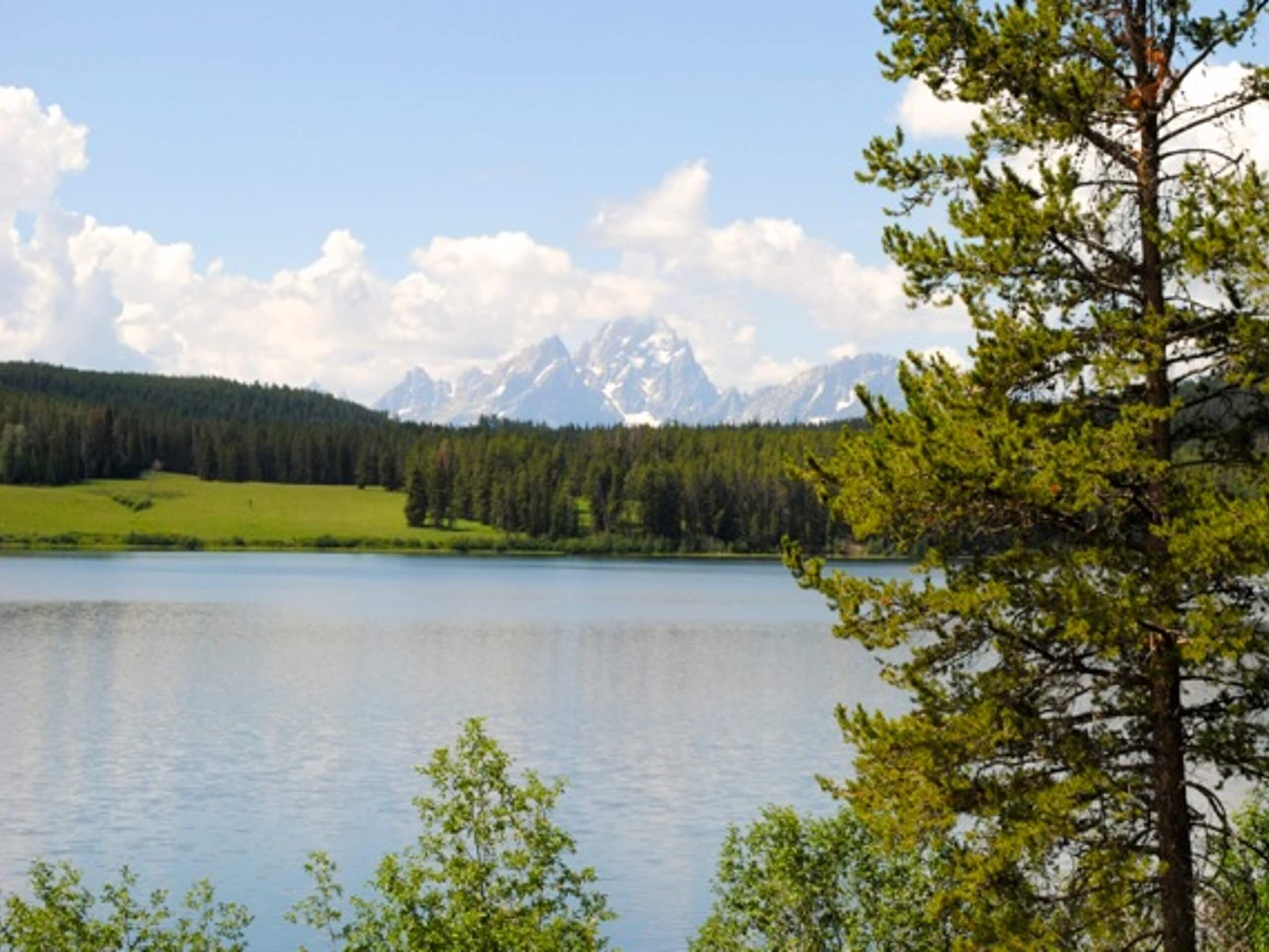 Two Ocean Lake Trail