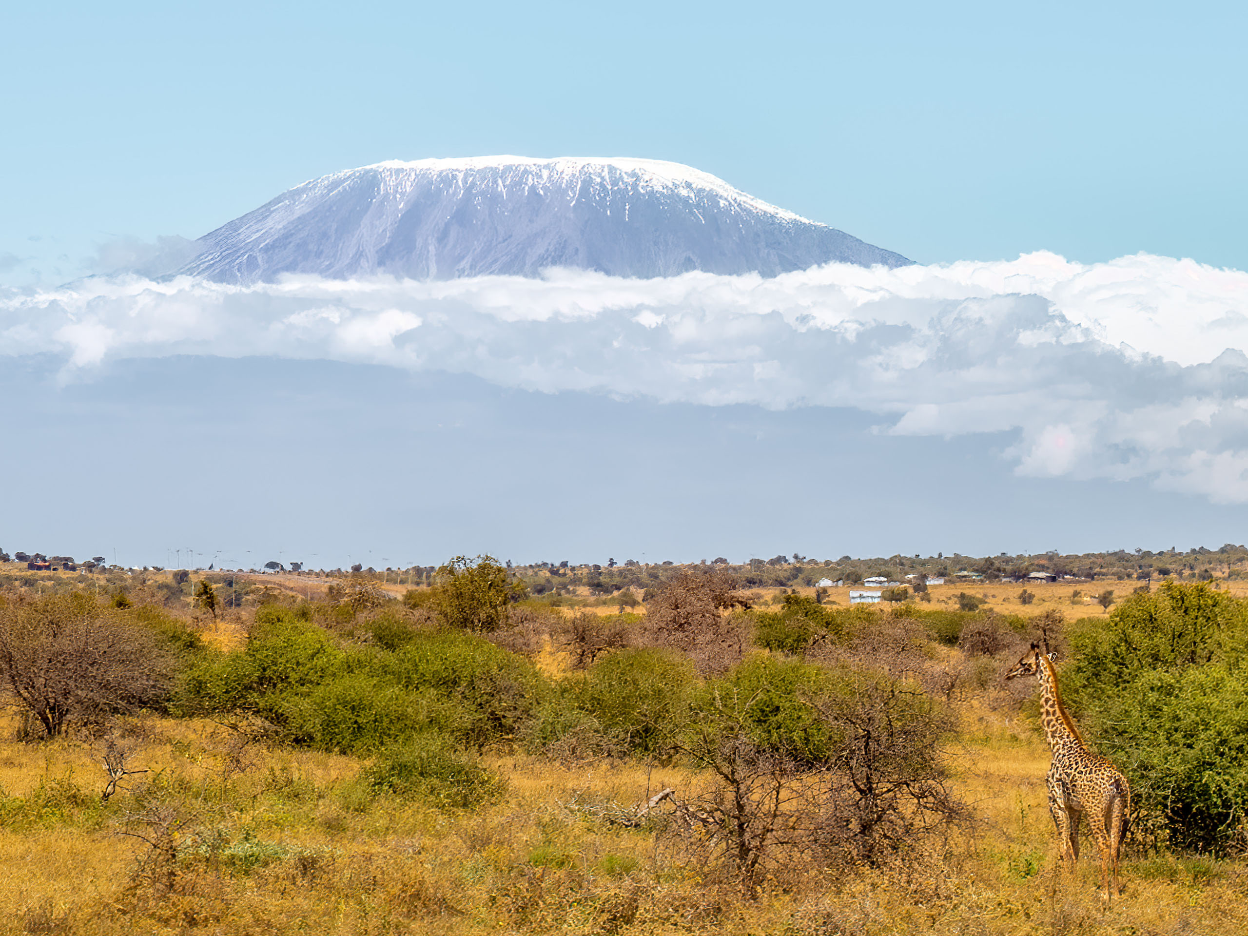 Climbing Kilimanjaro