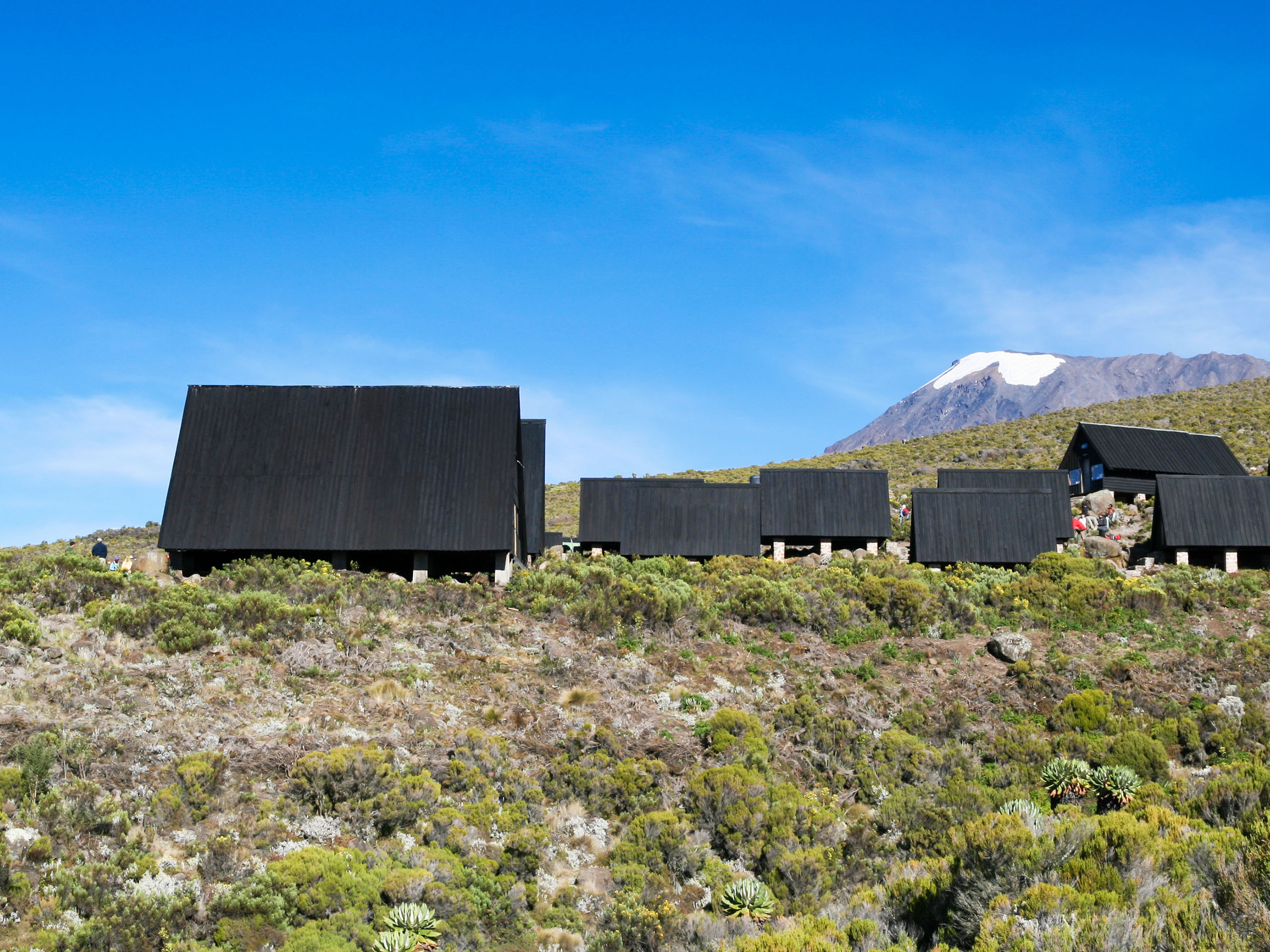 Day 2. Trek Across the Moor to Horombo Hut