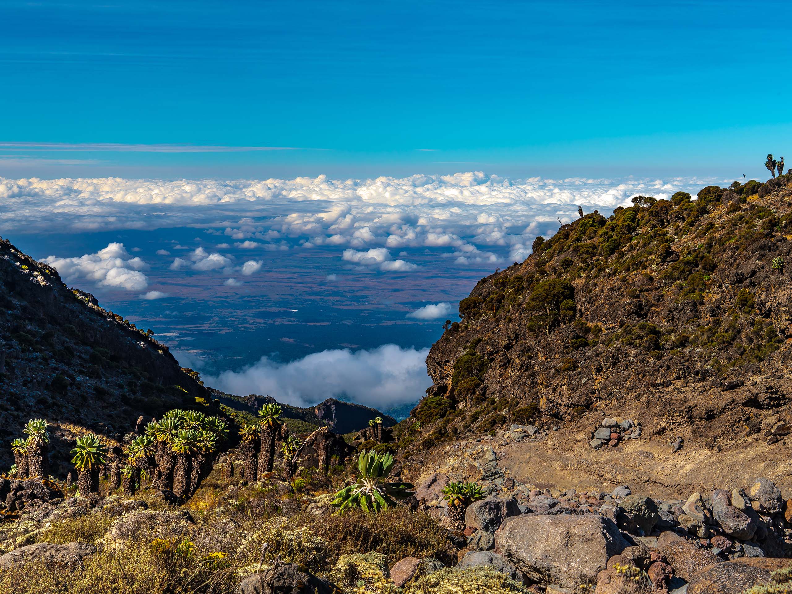 Day 4. Trek to Karanga Camp