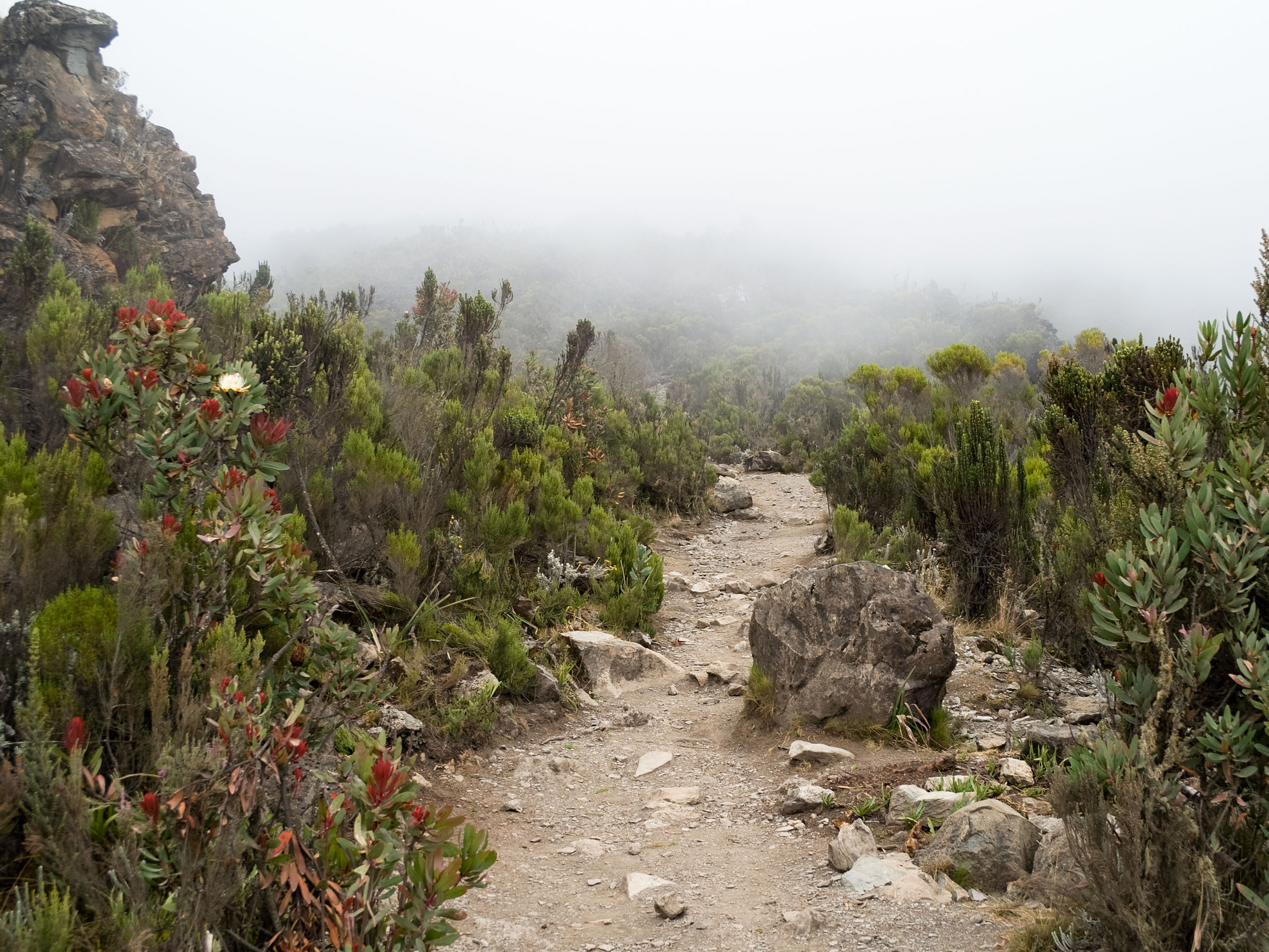 Day 7. Descend to Mweka Gate