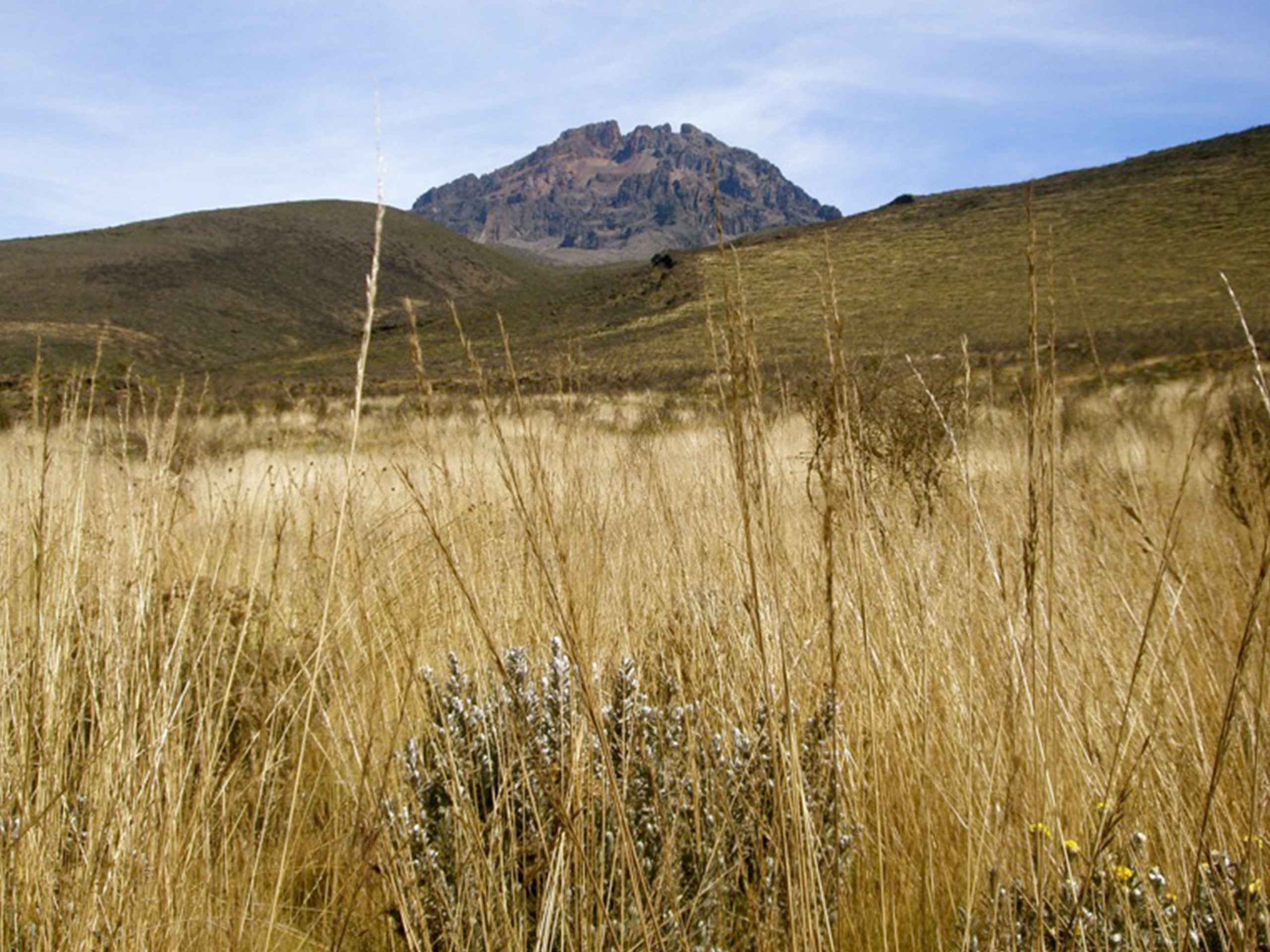 A Comprehensive Guide to Climbing Kilimanjaro's Marangu Route