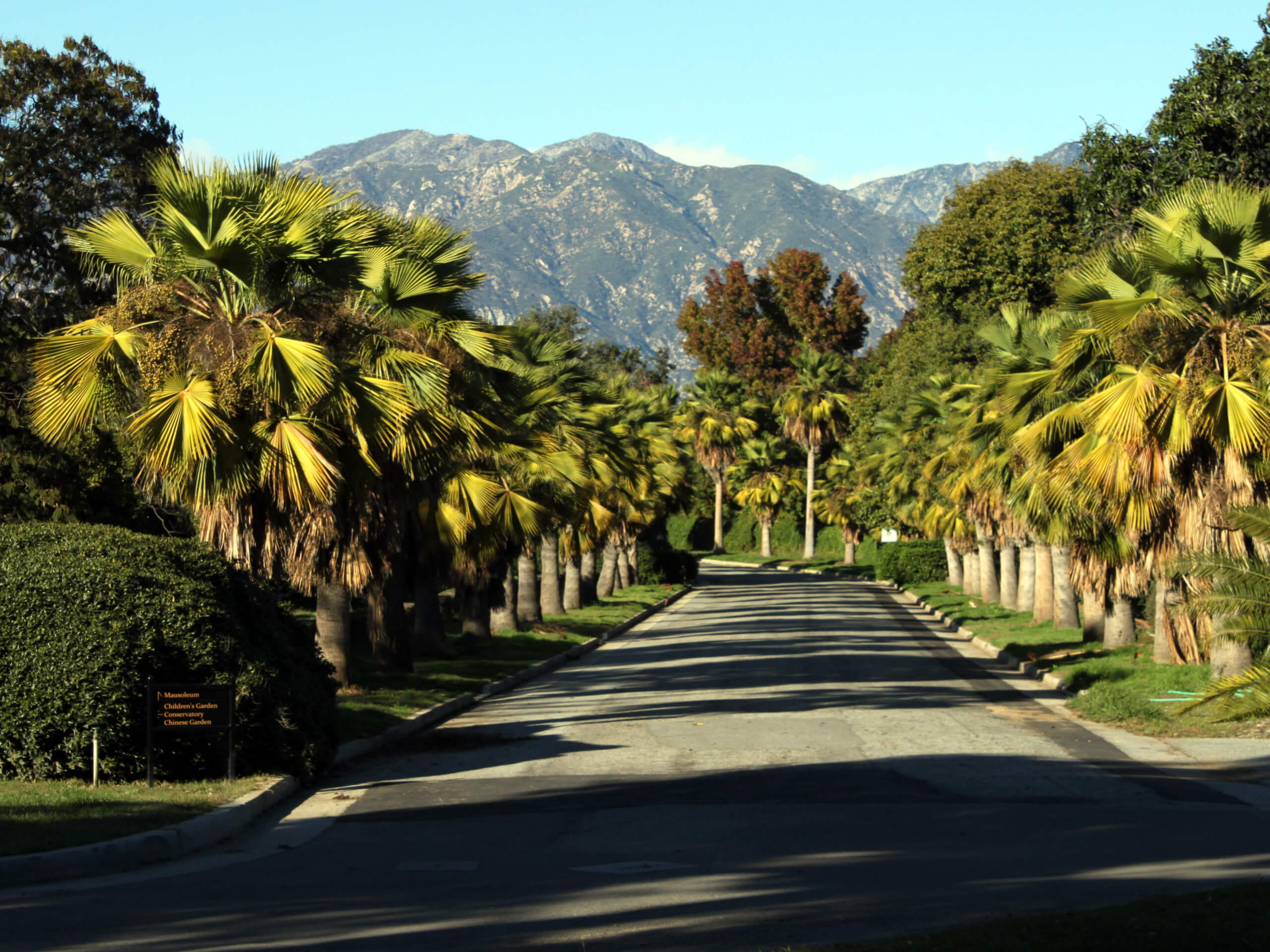 Huntington Library and Gardens Trail