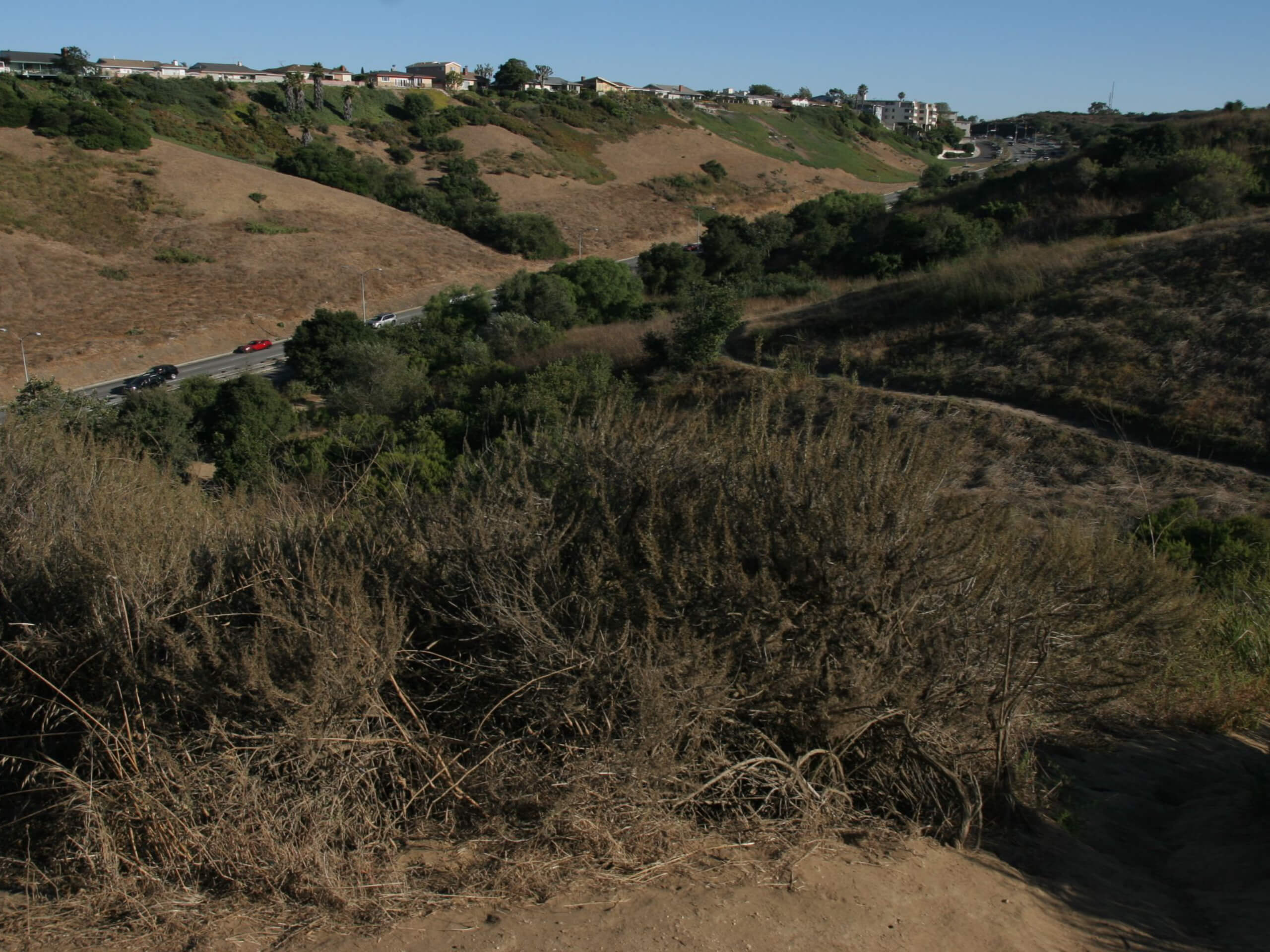 Stocker Corridor Trail