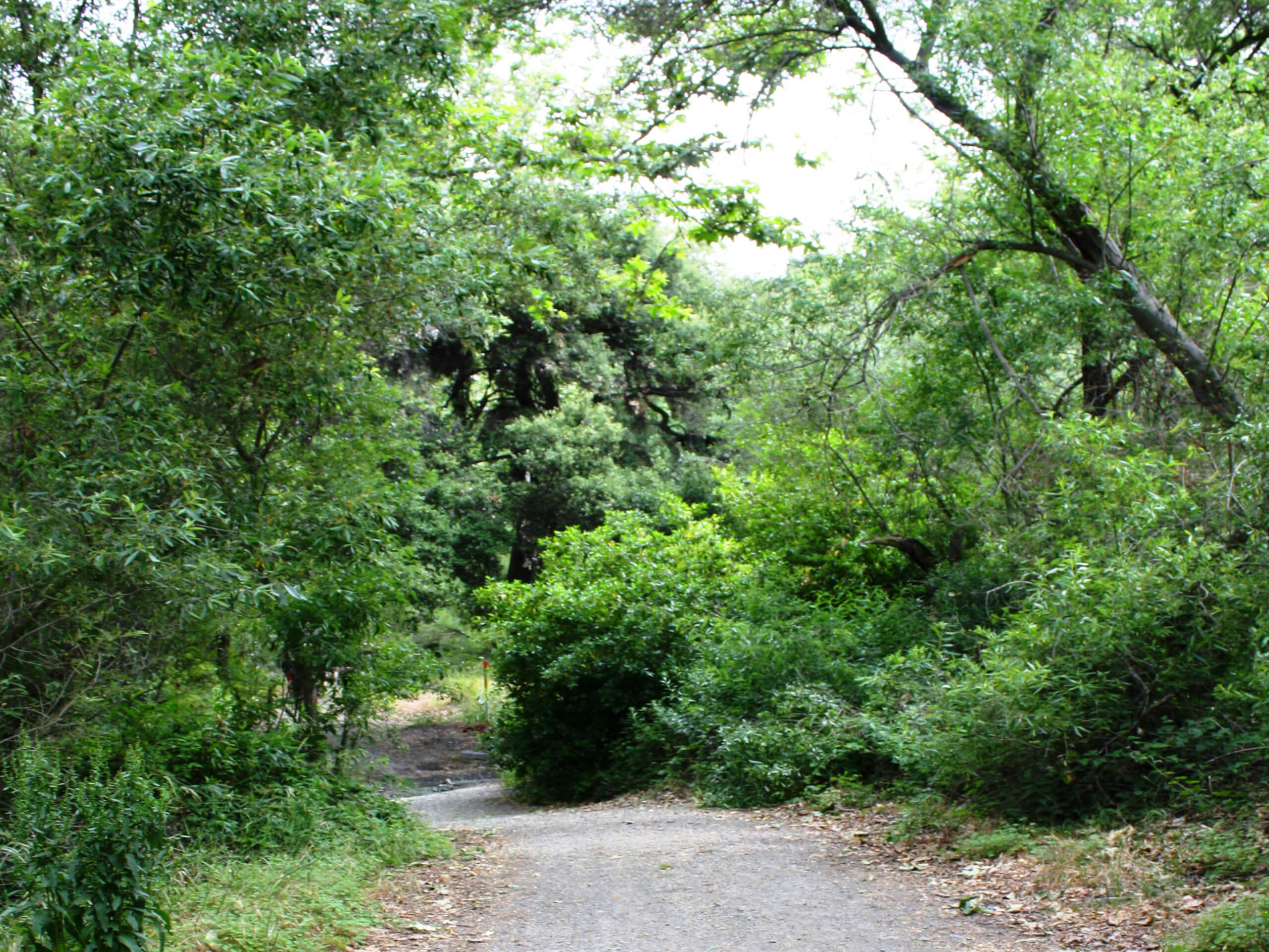 Sullivan Canyon Loop Hike