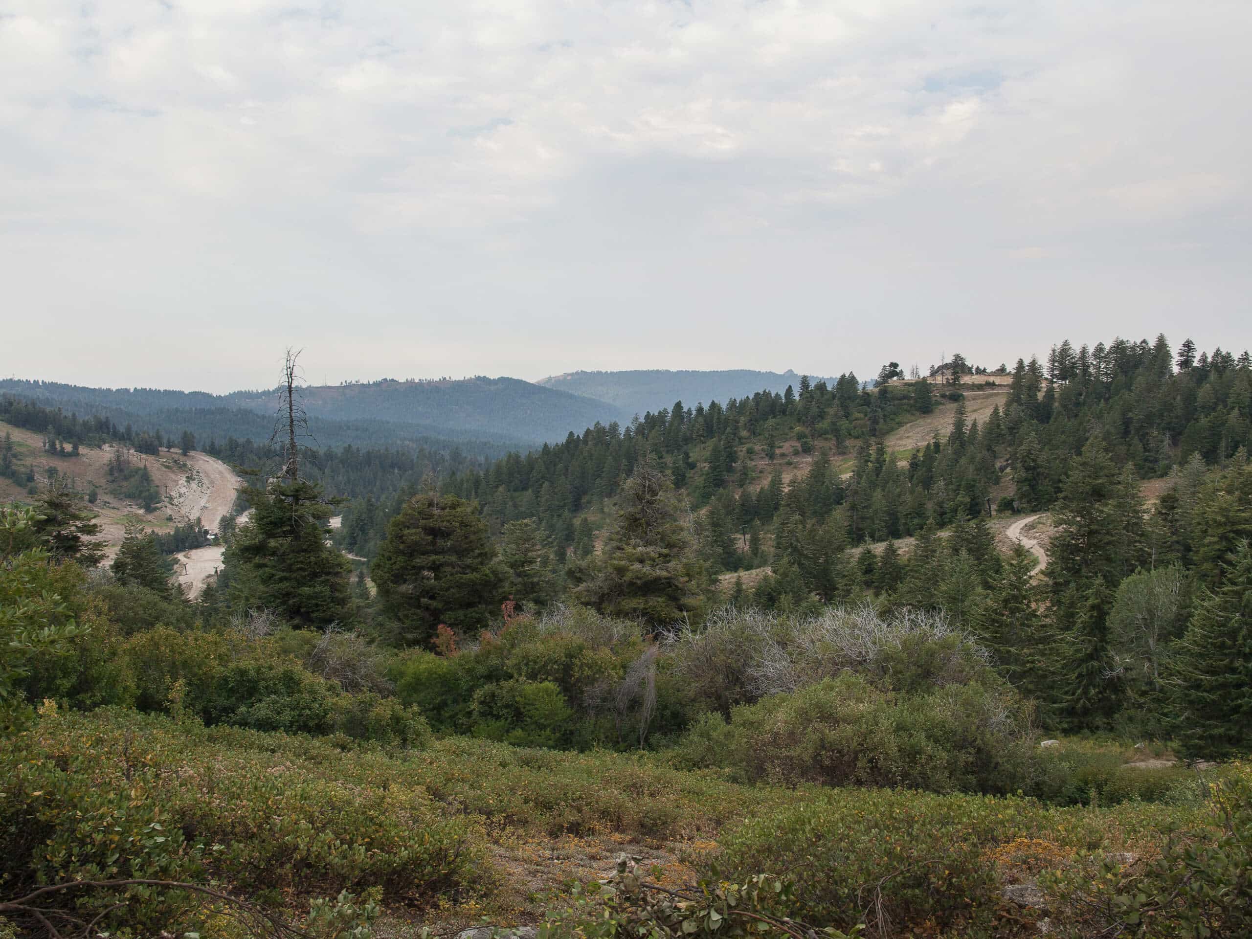 Bogus Basin Loop Trail