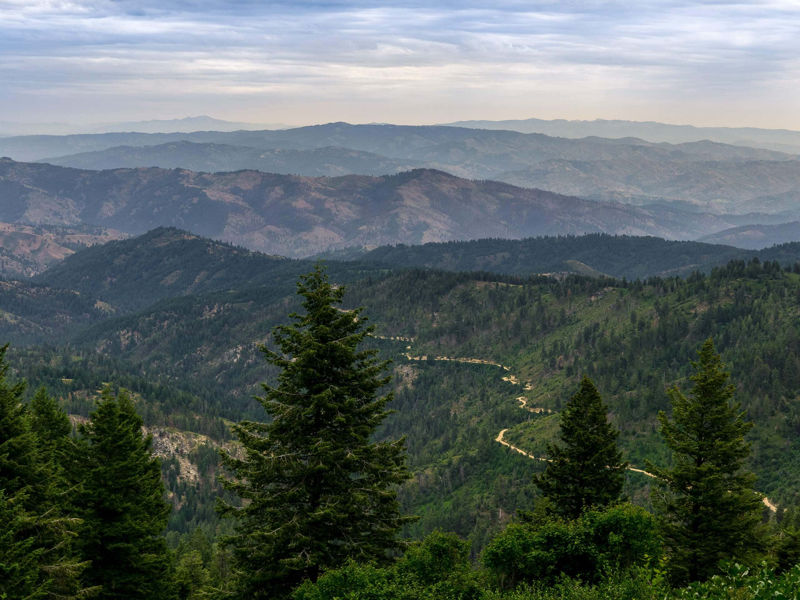 Mores Mountain Loop Trail