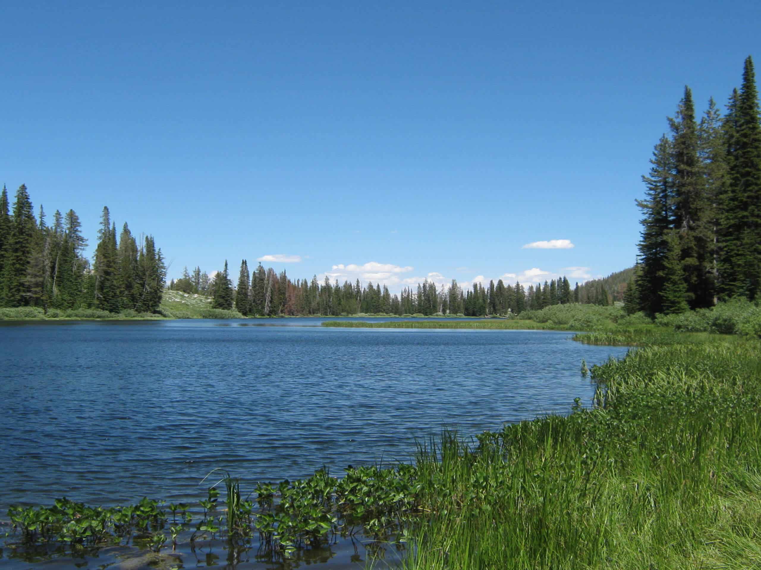 Rainbow Lakes via Big Trinity Lake Hike