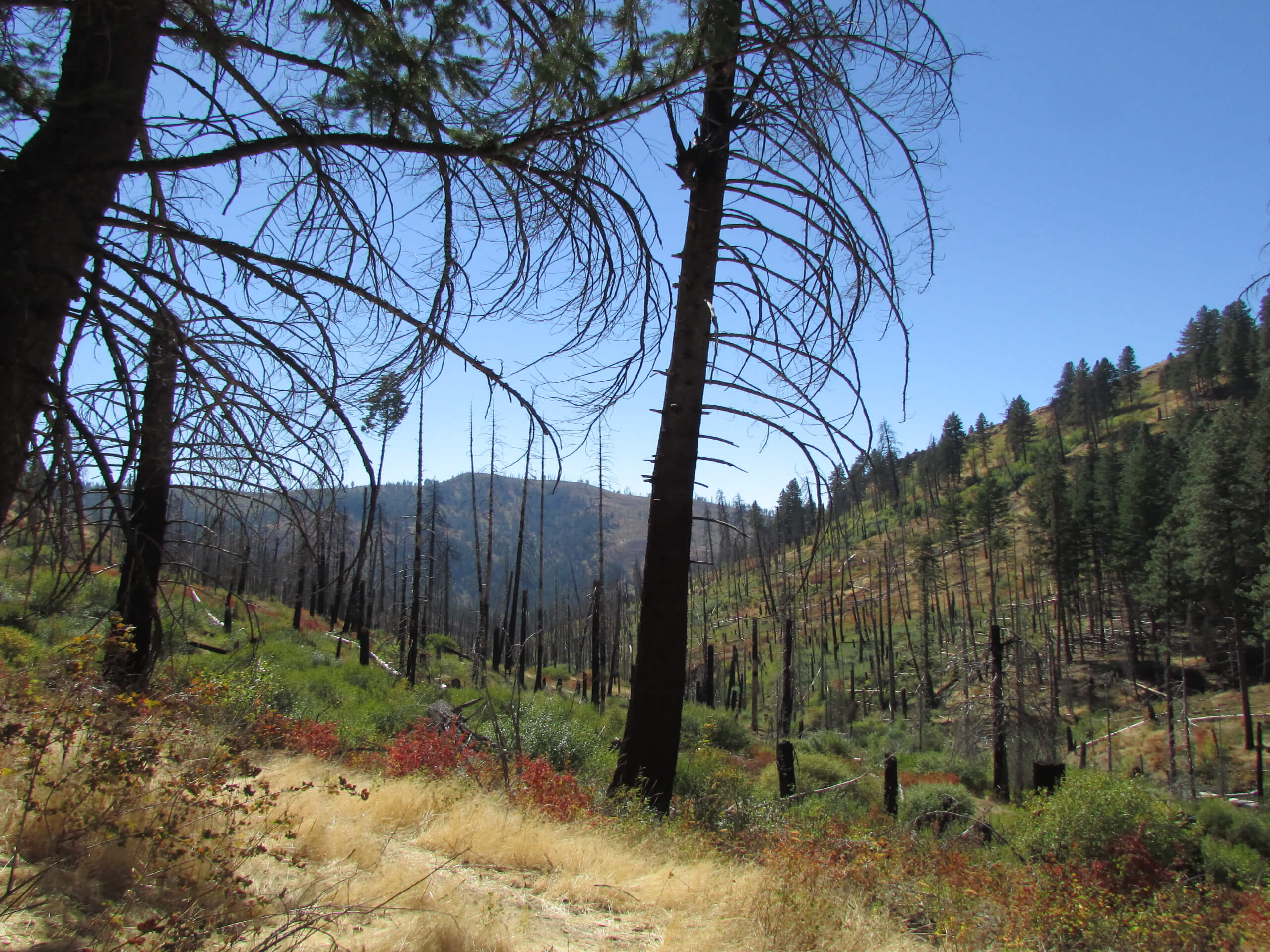 Council Mountain Hot Springs Hike