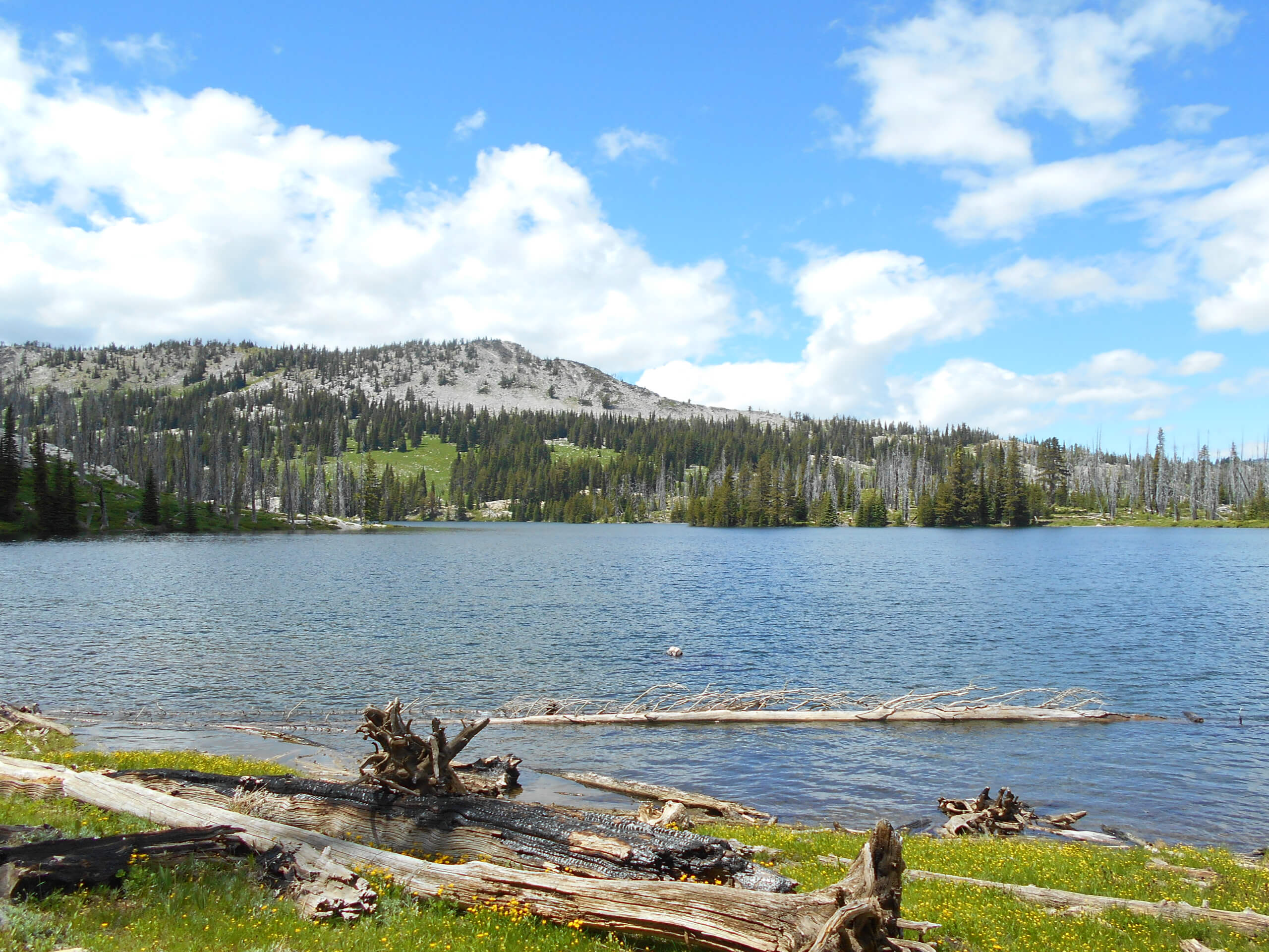 Twin Lakes via Granite Mountain Trail