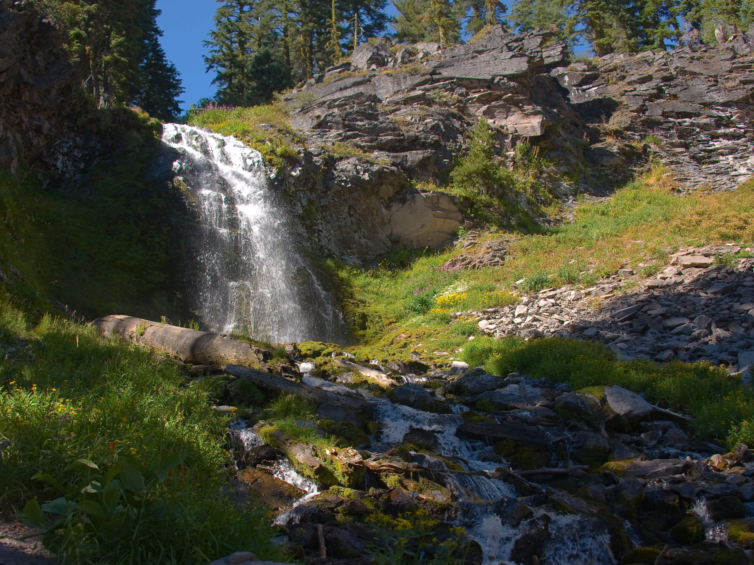 Plaikni Falls Trail