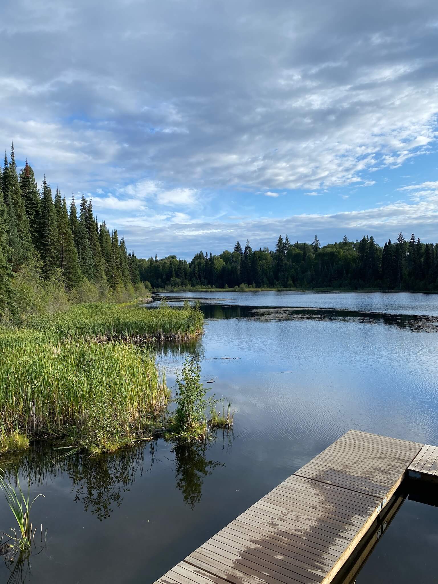 Shane Lake Loop