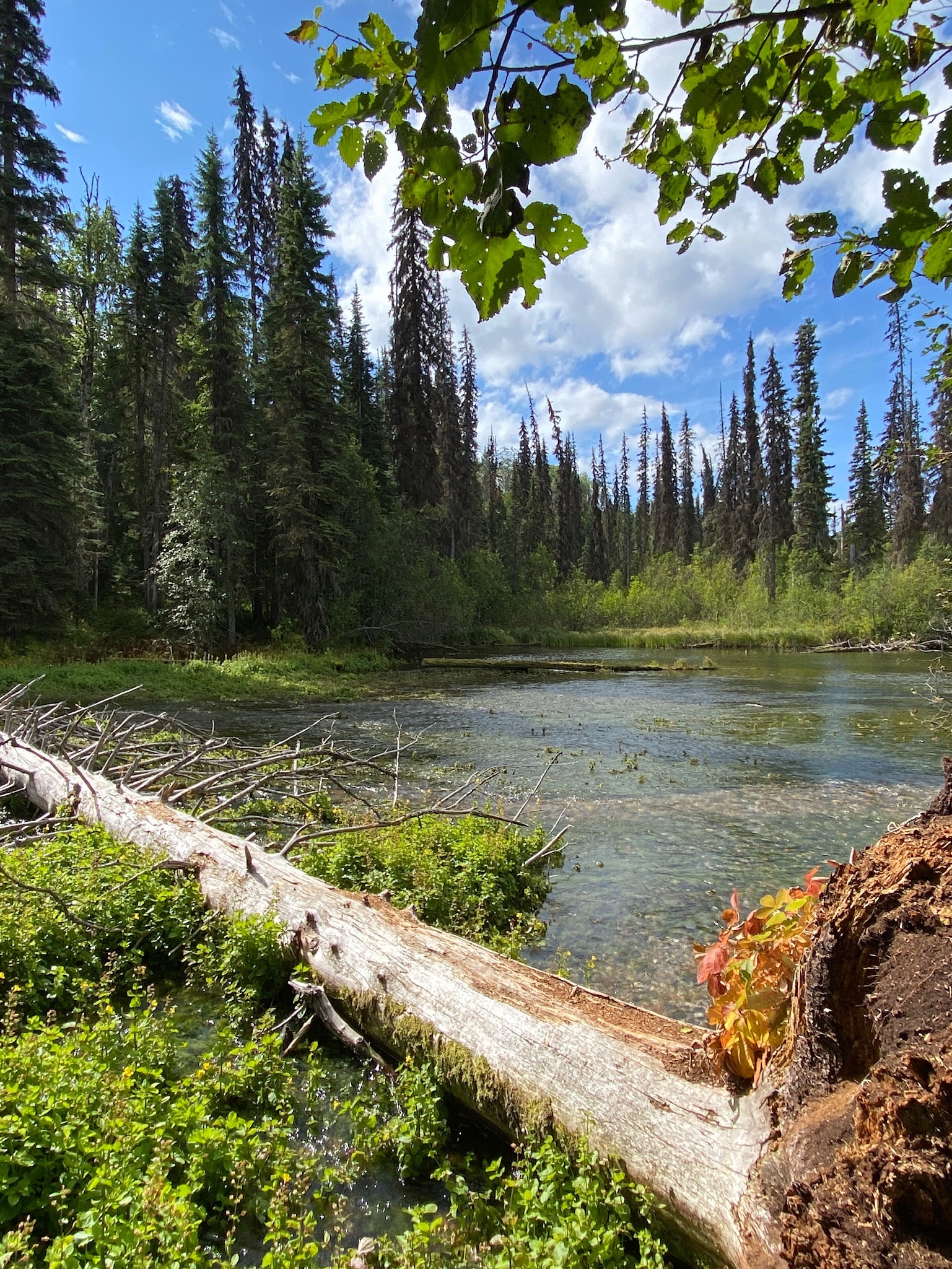 Bear Lake Trail