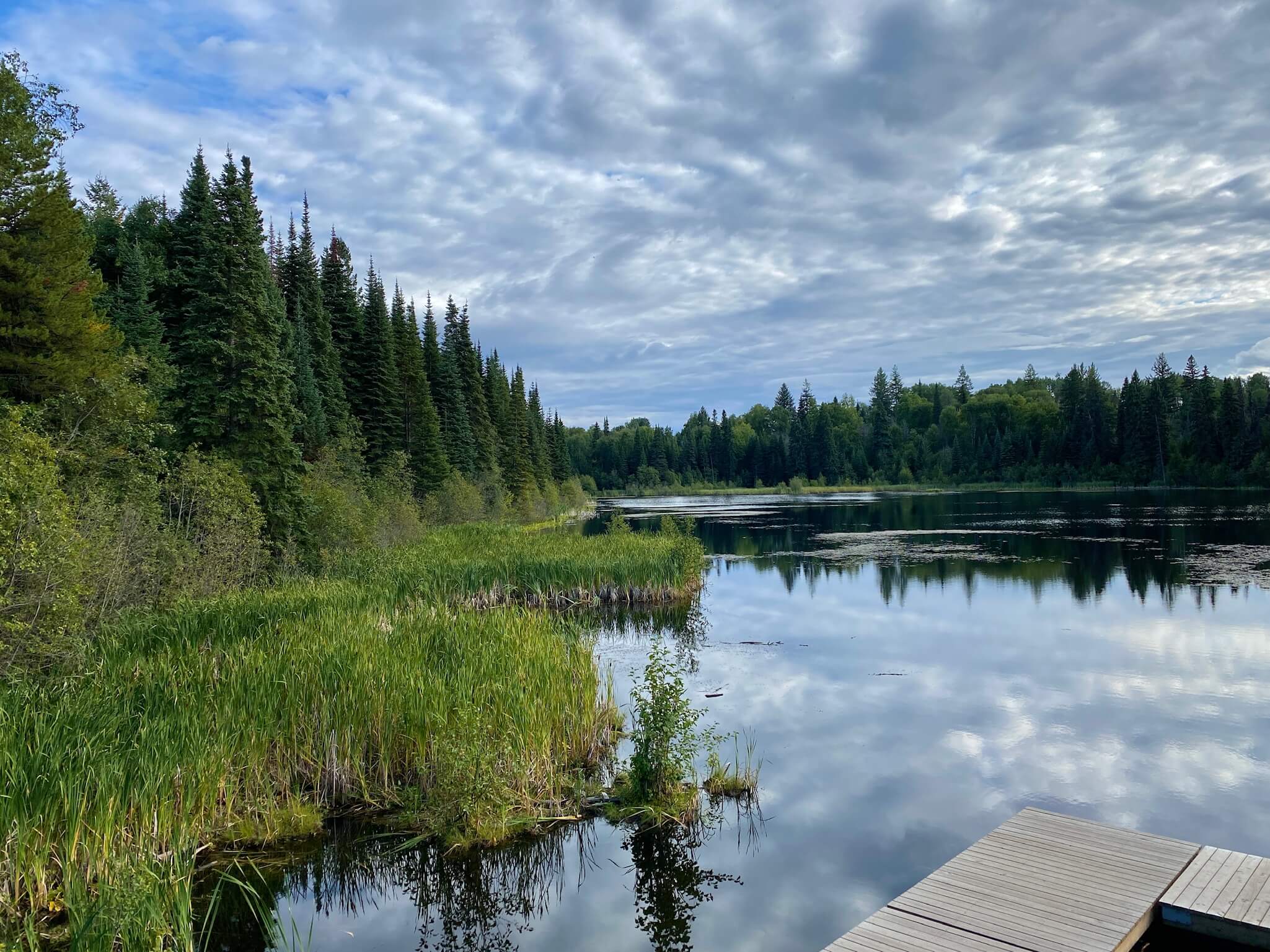 Greenway Trail to Shane Lake Hike