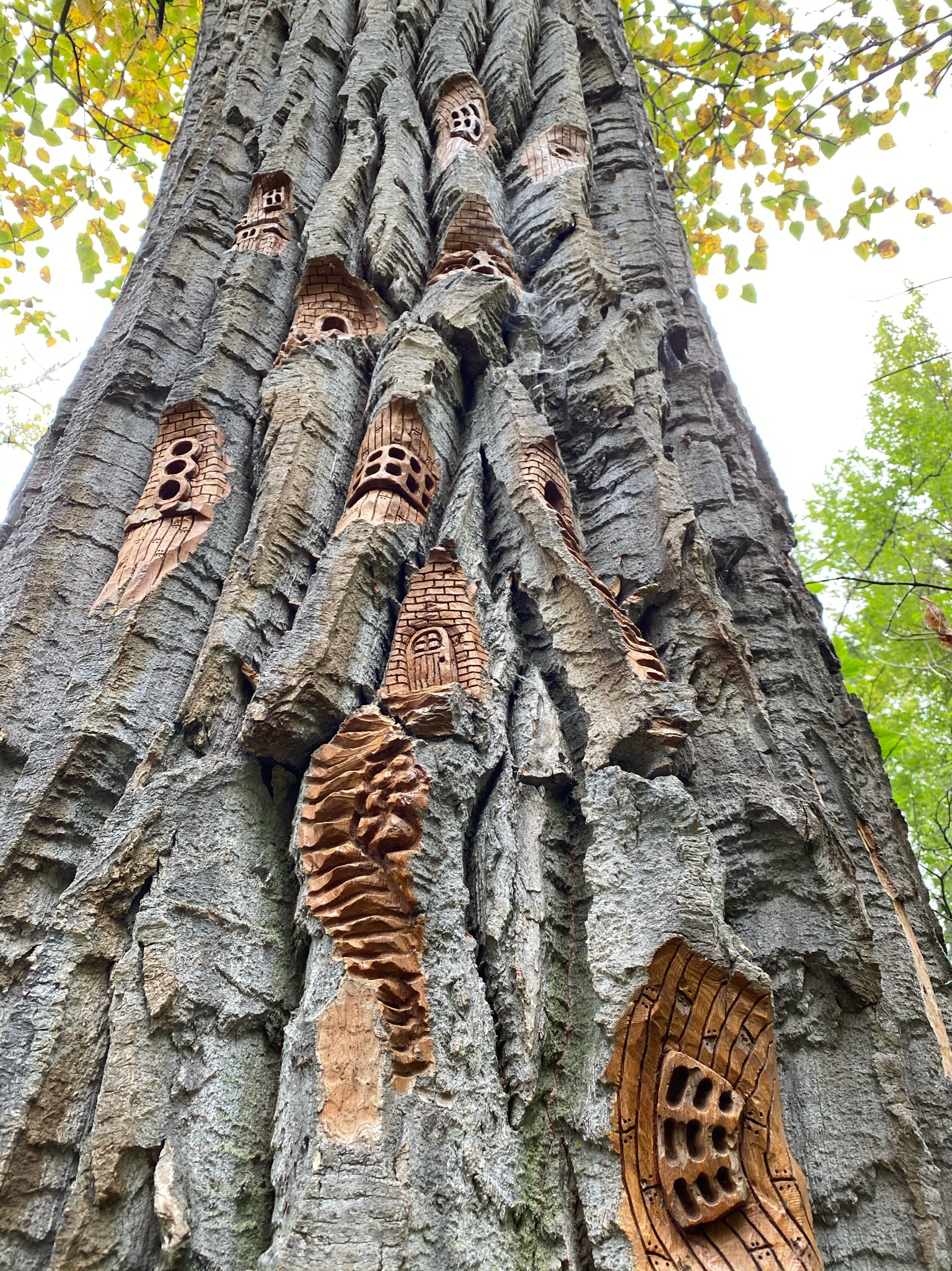 Cottonwood Island Loop Trail