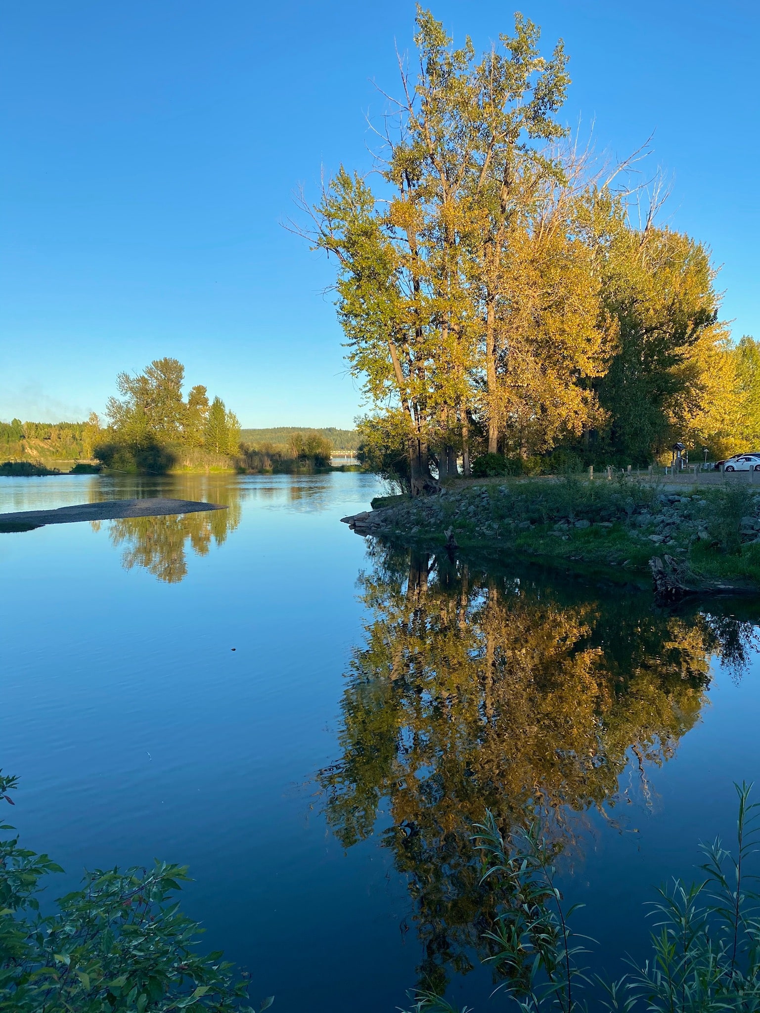 Cottonwood Island Loop Trail