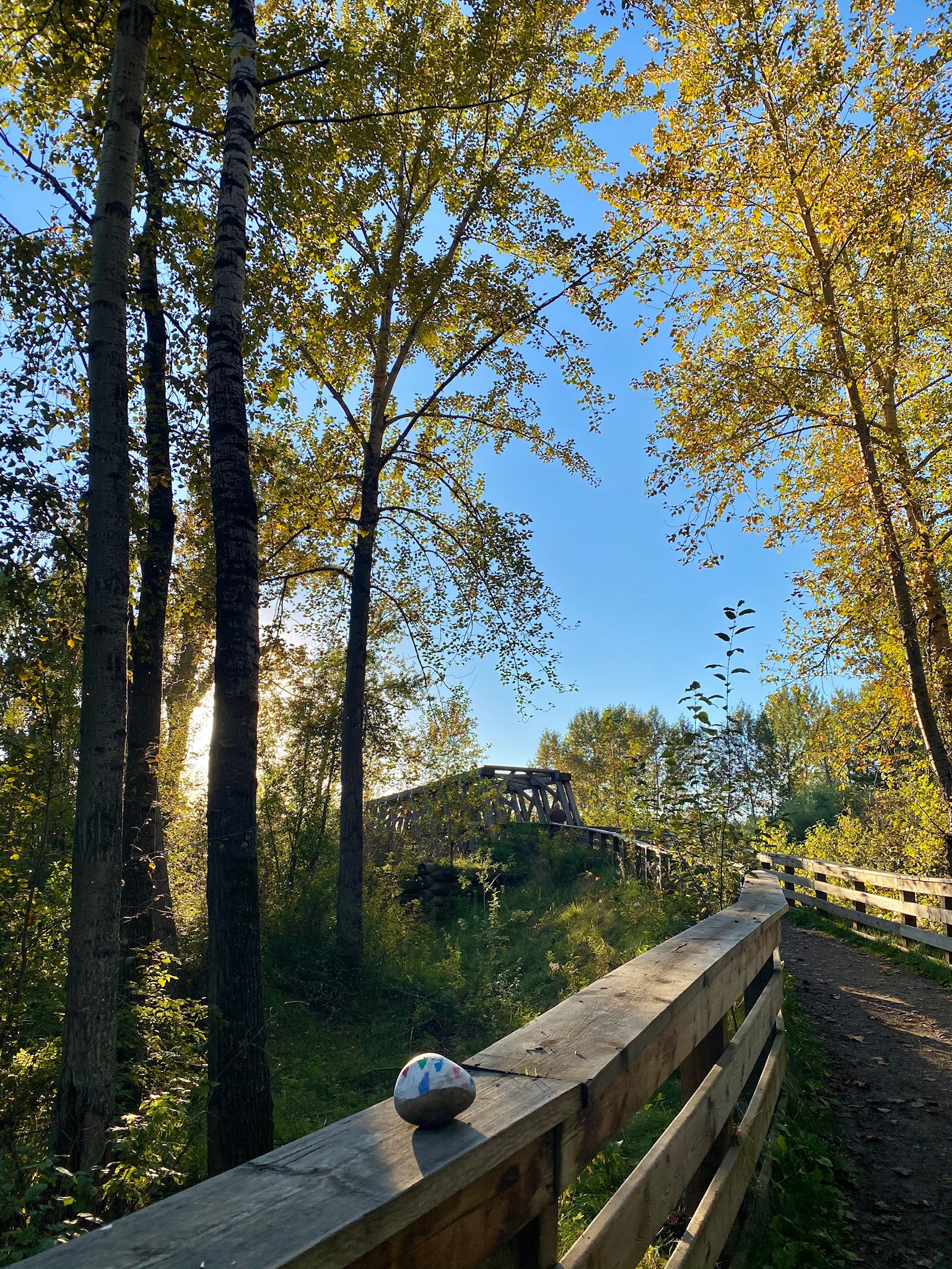 Cottonwood Island Loop Trail