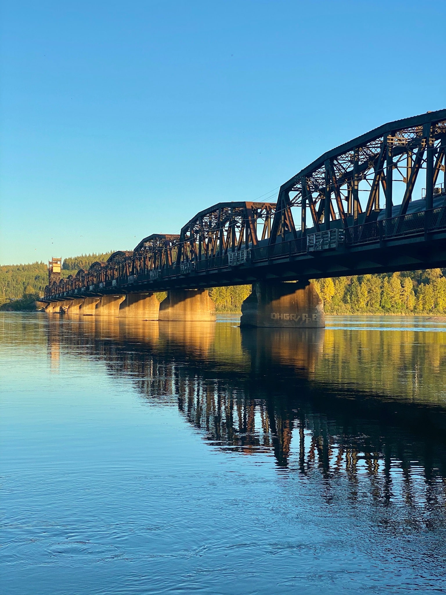 Cottonwood Island Loop Trail