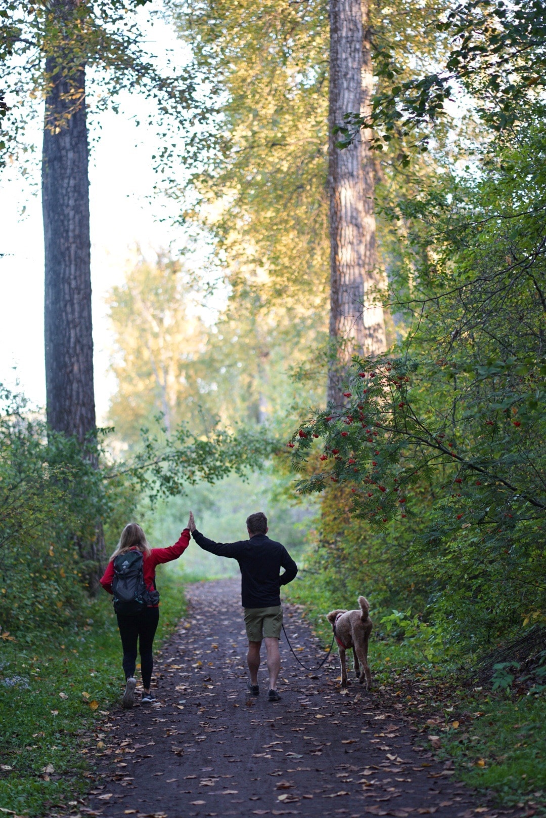 Cottonwood Island Loop Trail