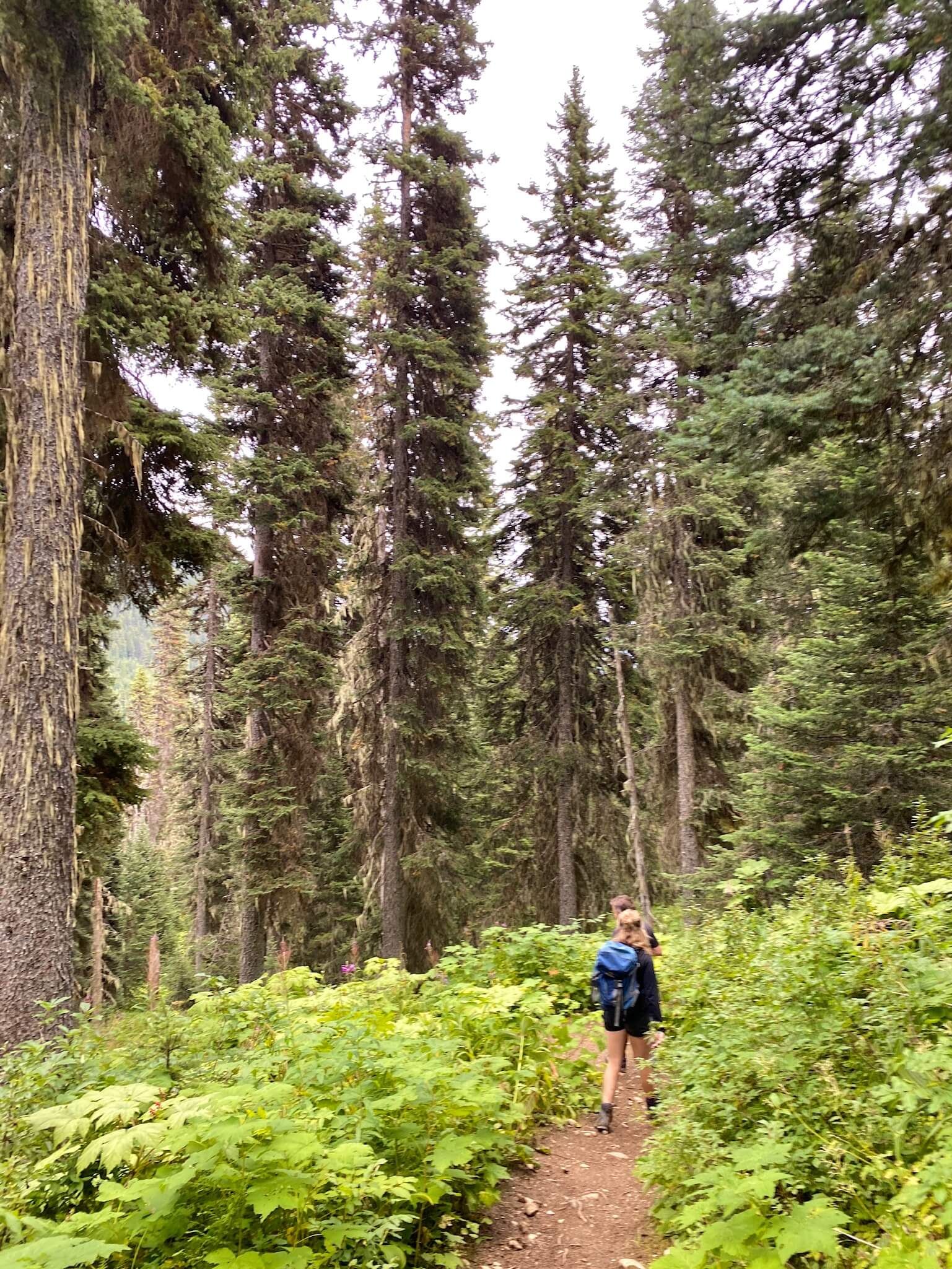 Raven Lake and Ridge Trail