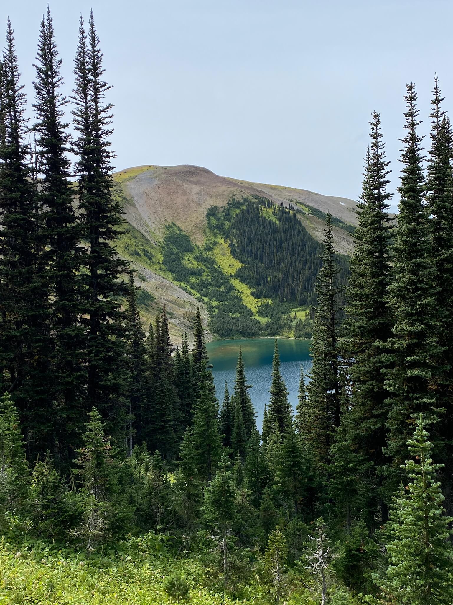Raven Lake and Ridge Trail