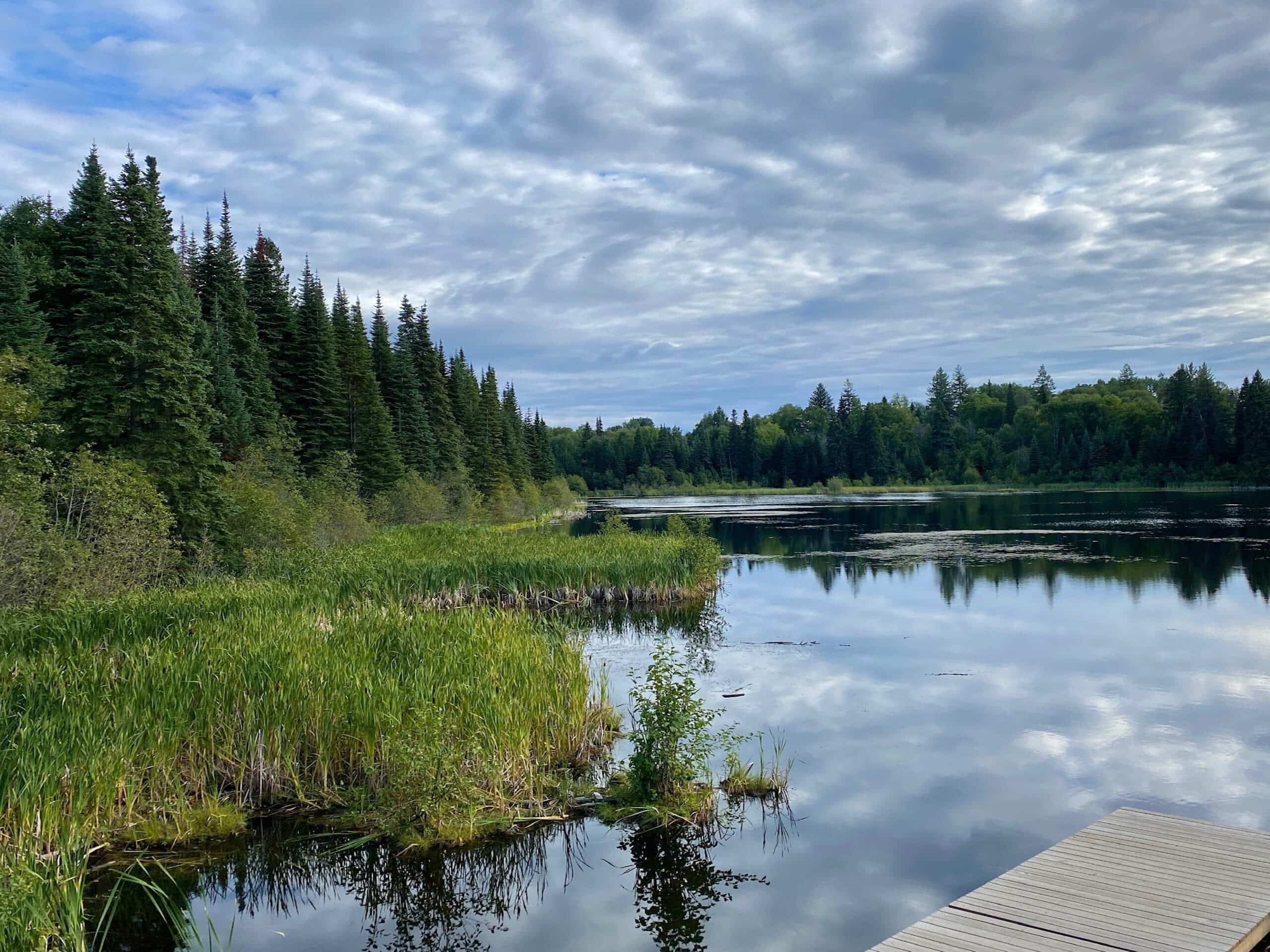 Shane Lake Loop