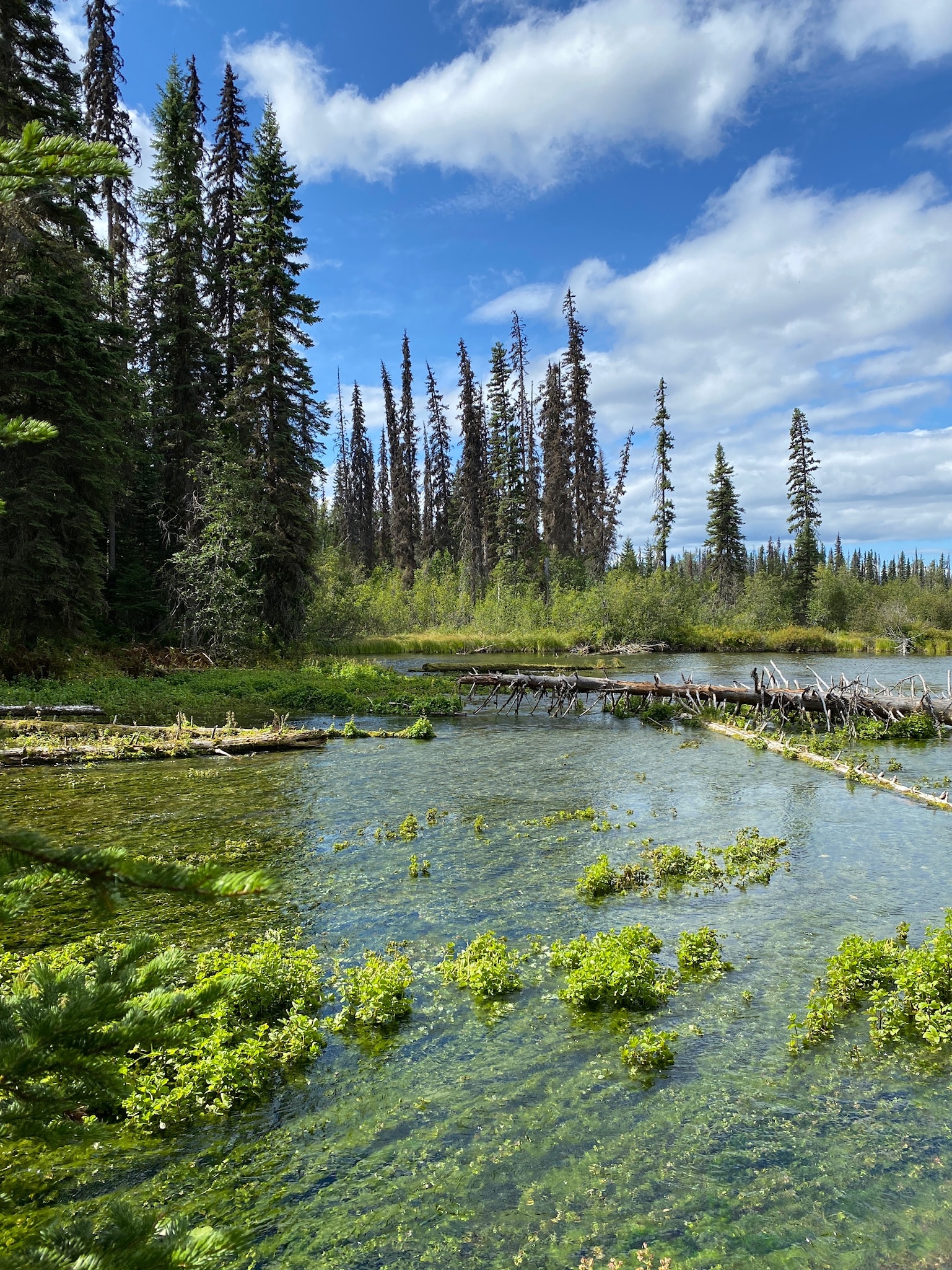 Bear Lake Trail