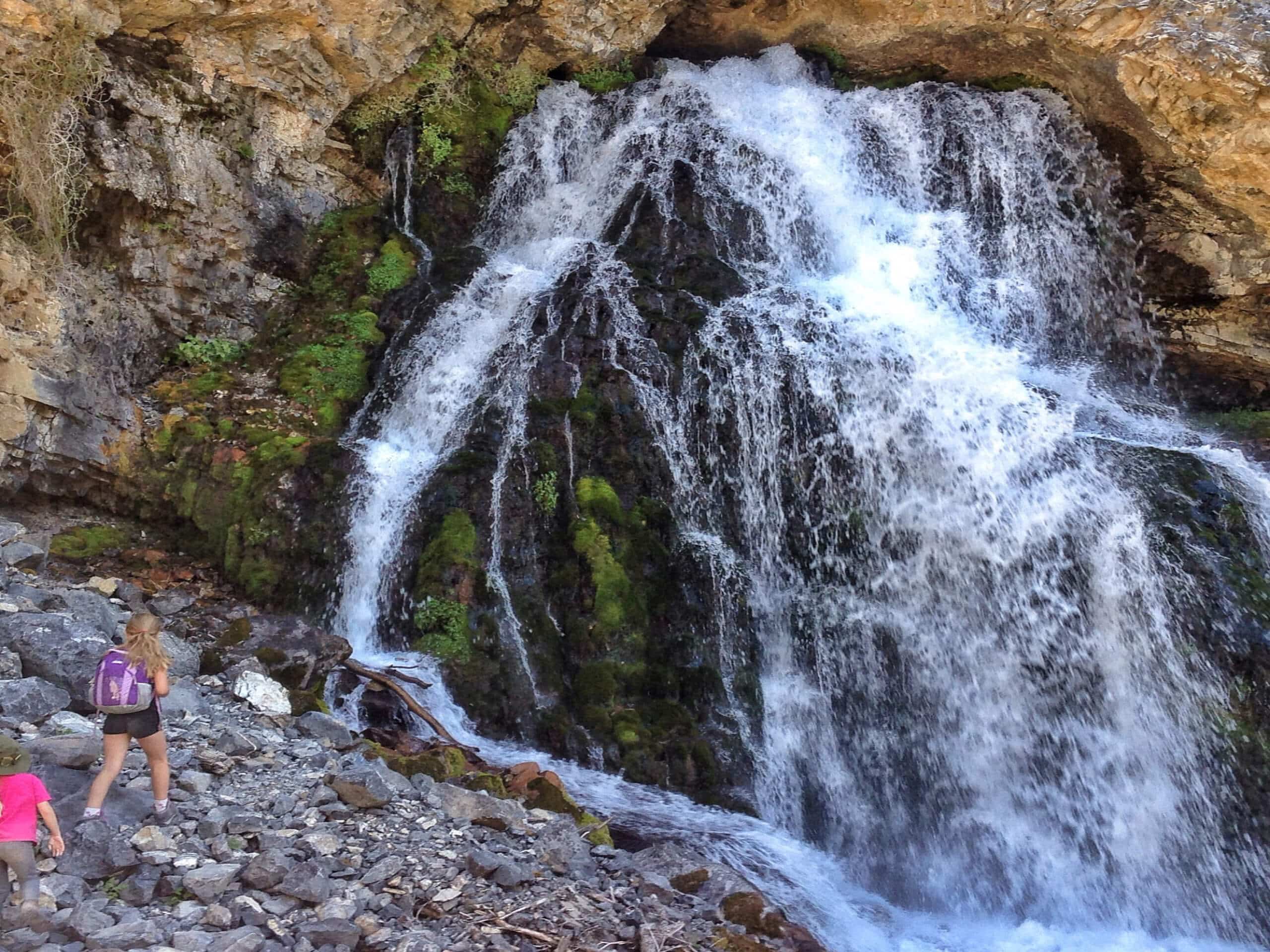 Lower Cedar Creek Falls Hike