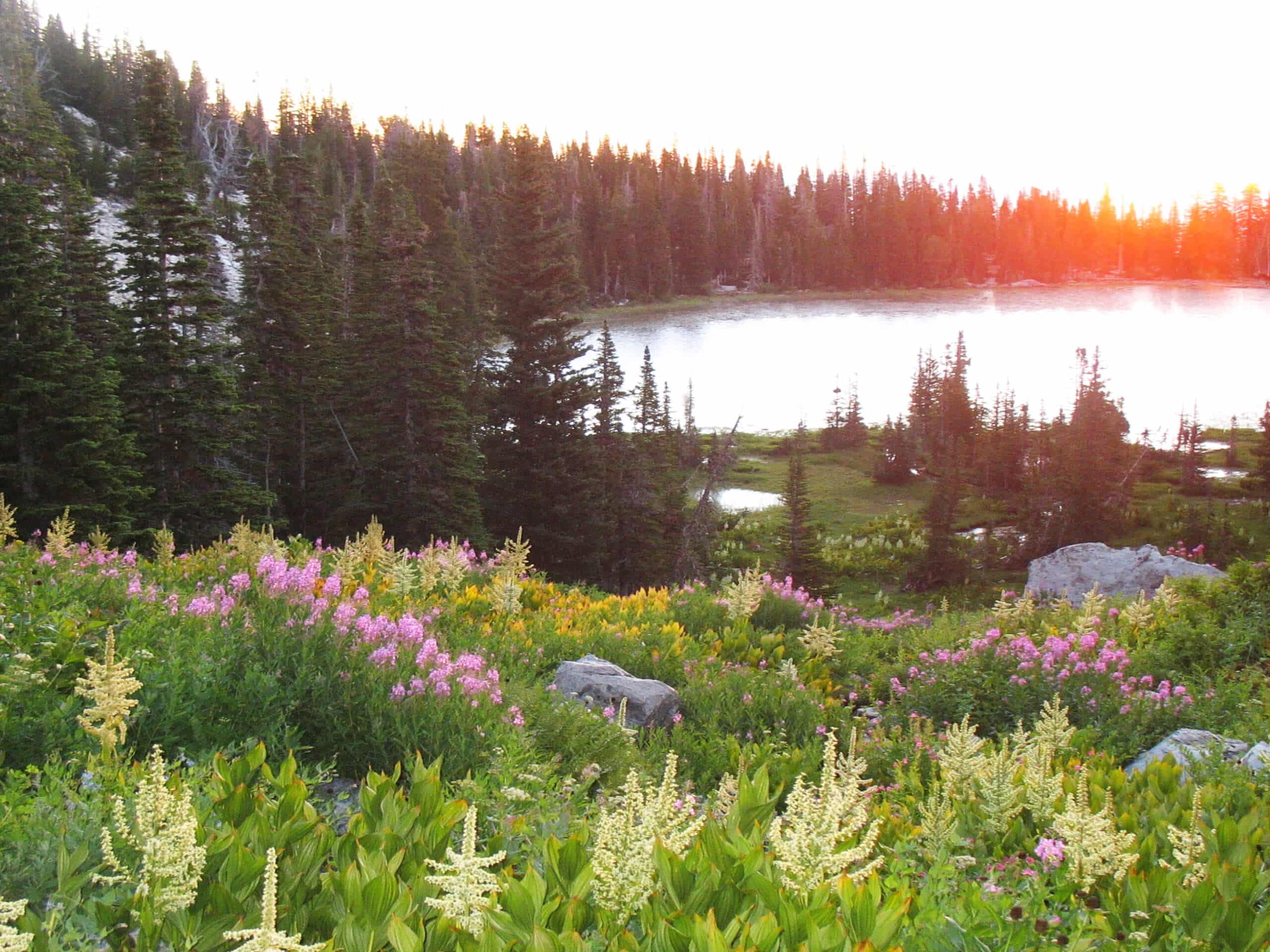 Independence Lakes Trail