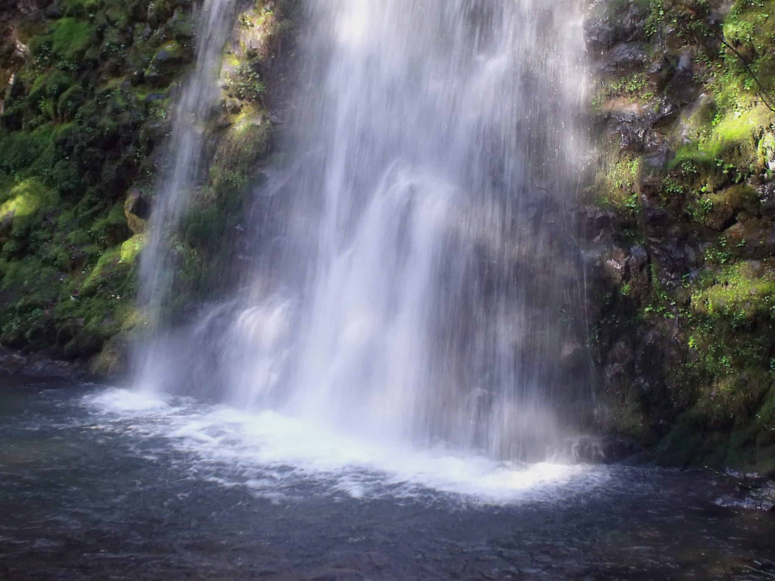 Fall Creek Falls Trail