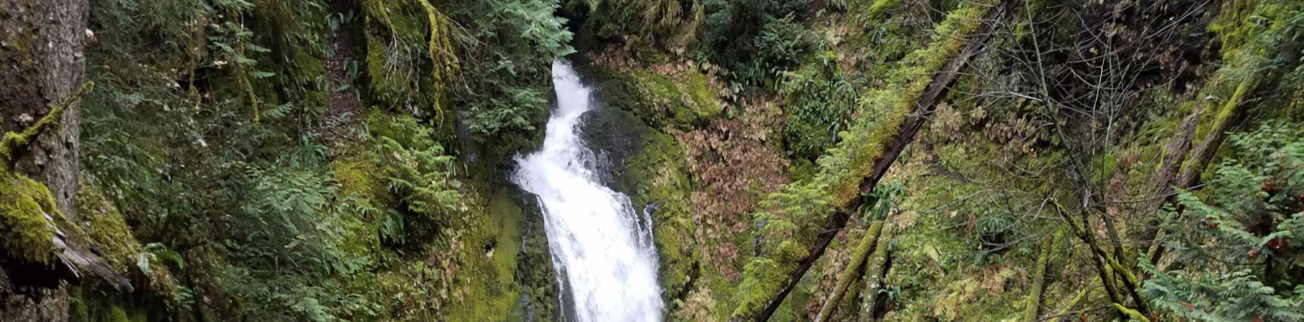 Hemlock Falls Trail
