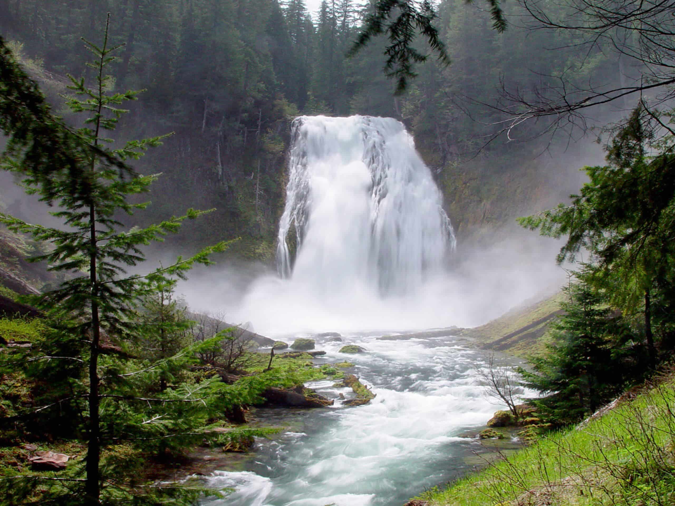 Lemolo Falls Hike