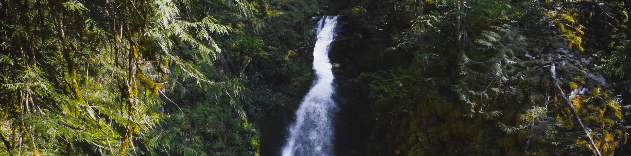 Pinard Falls Trail