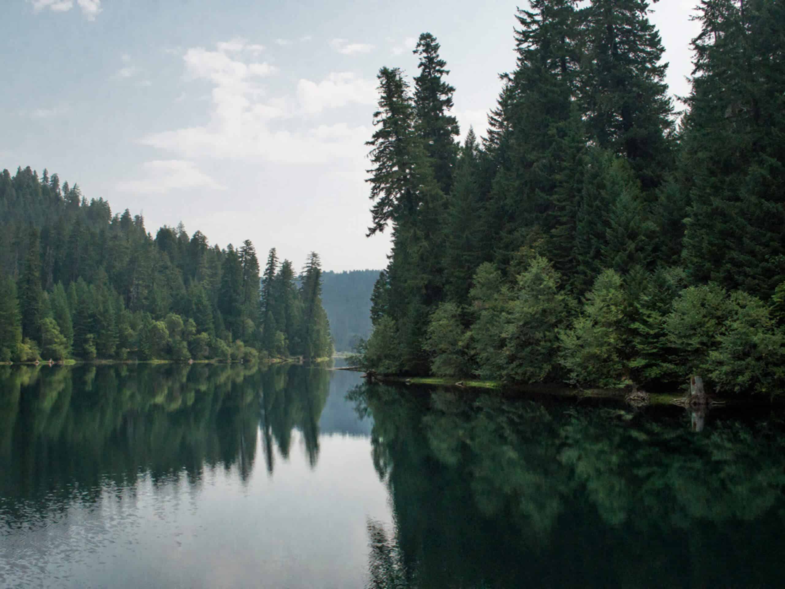 Toketee Lake Trail