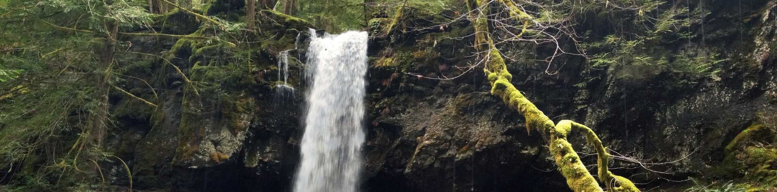 Trestle Creek Falls Loop Hike