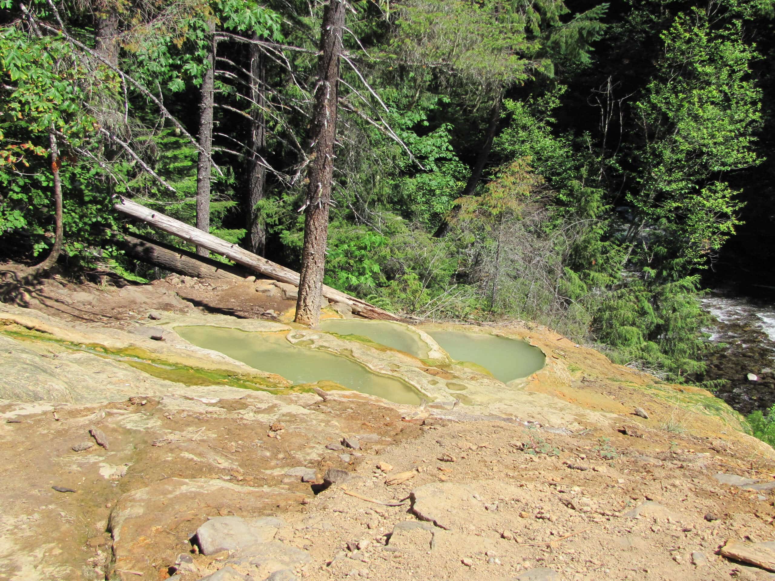 Umpqua Hot Springs vis Road 3401