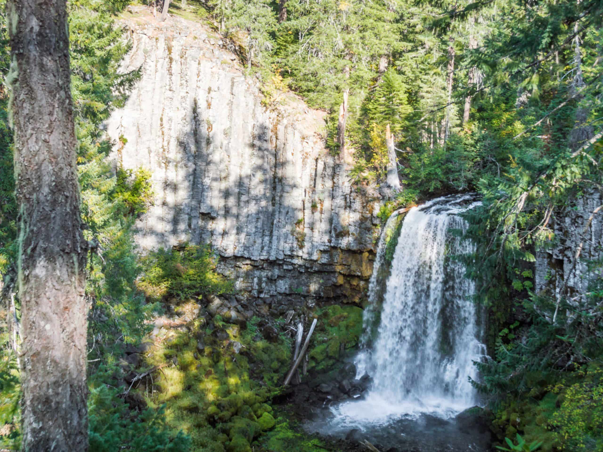 Warm Springs Falls Trail