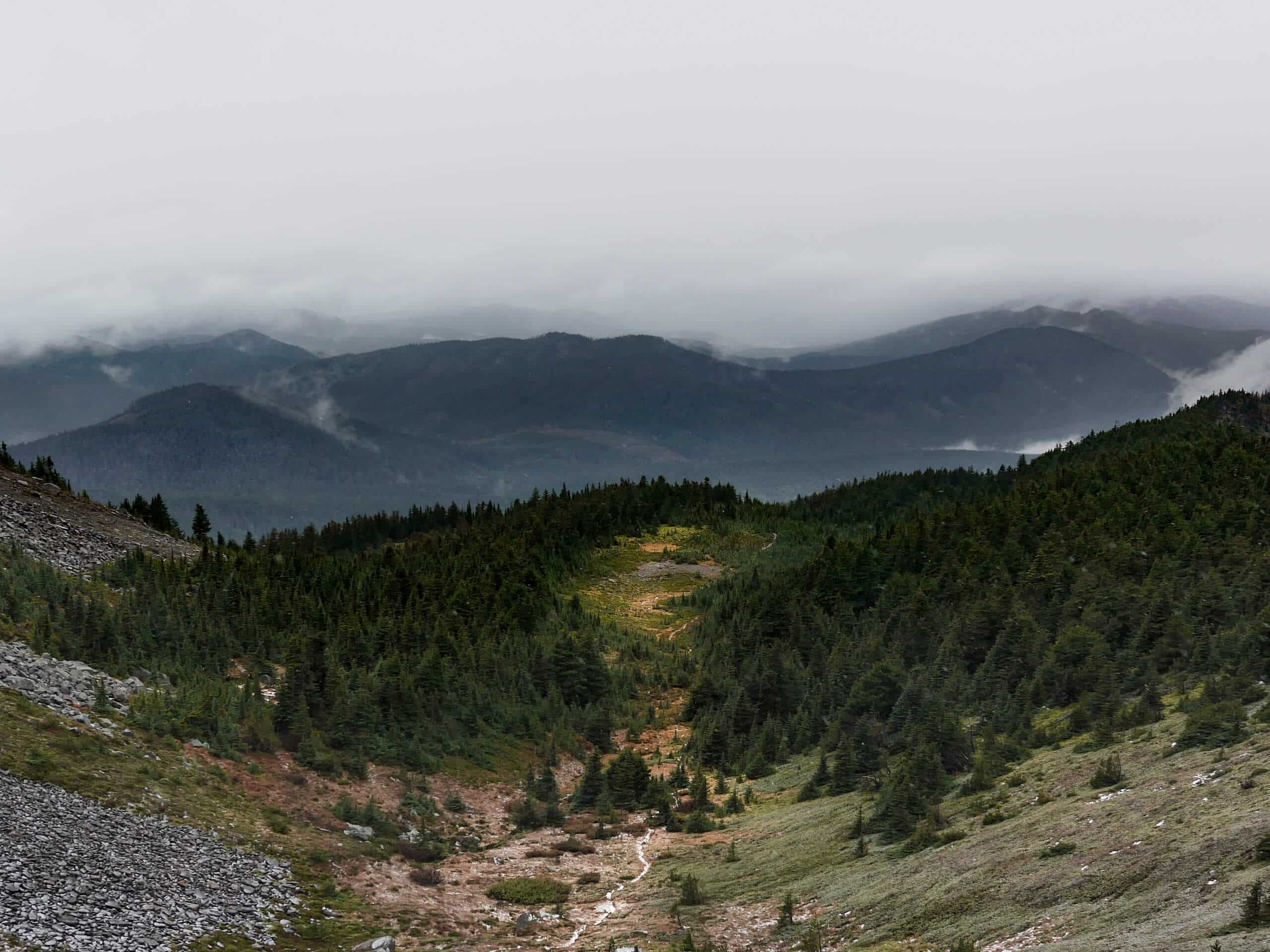 McNeil Point Trail