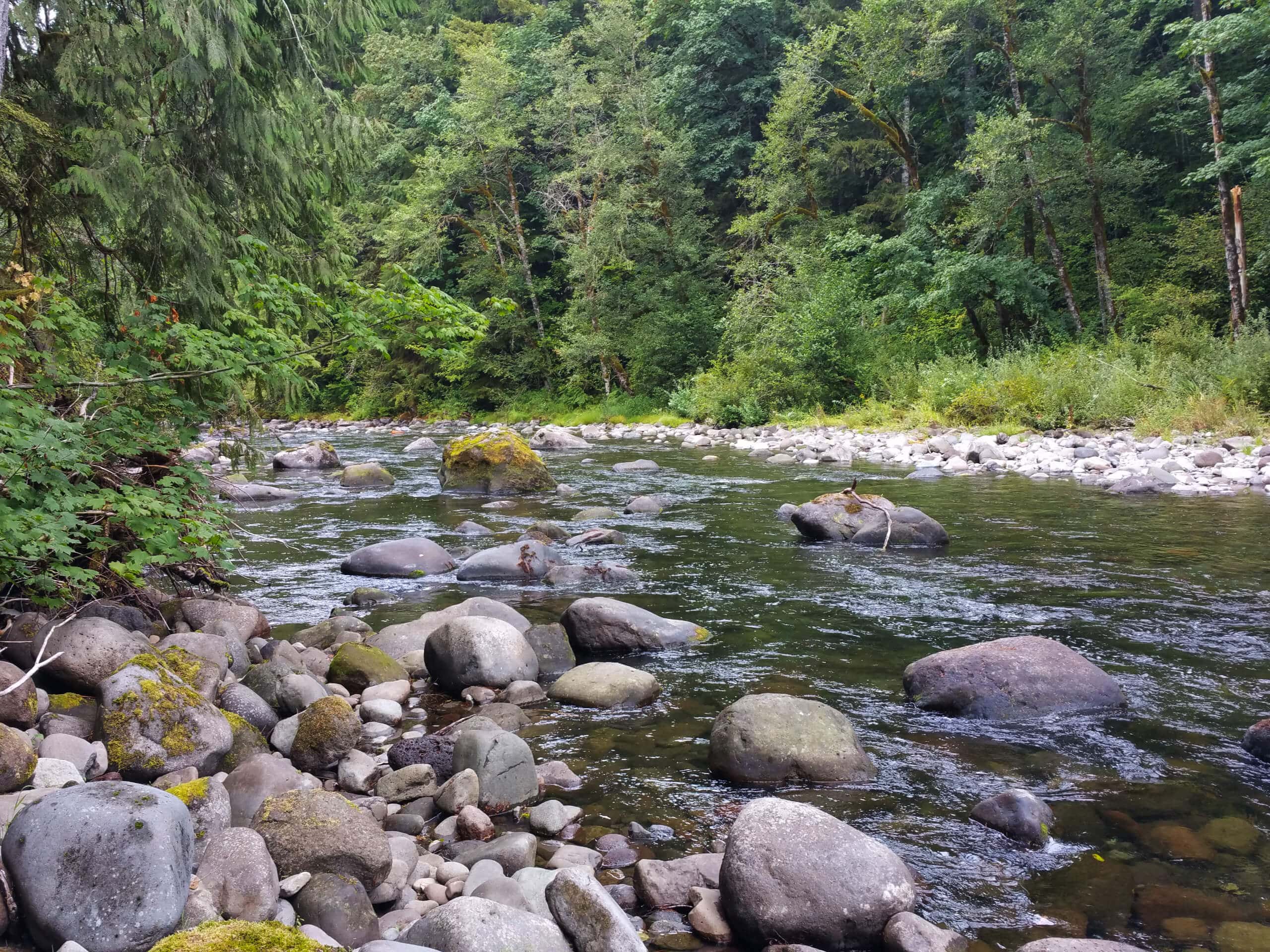 Old Salmon River Trail