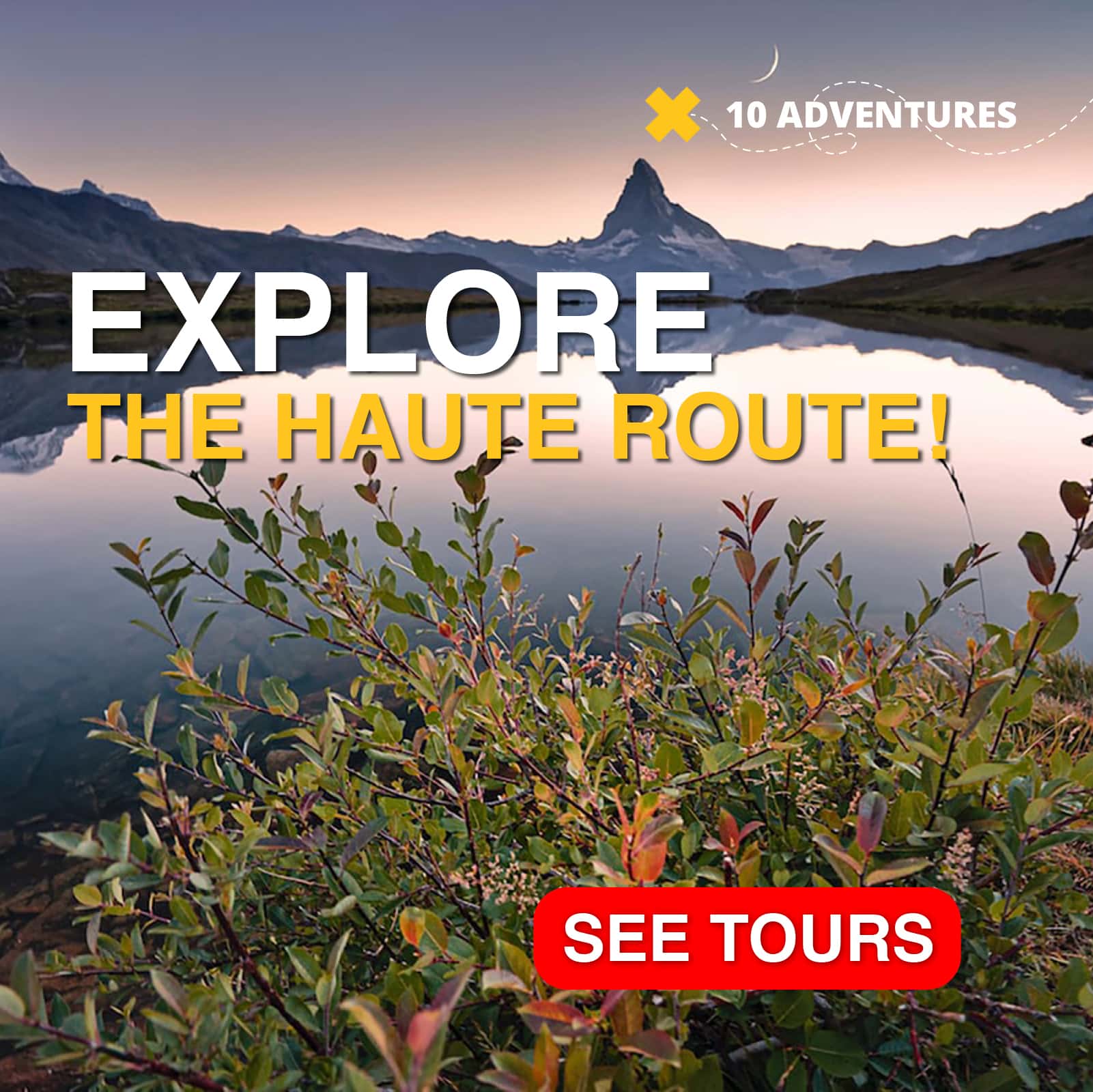 Check out this great list of tours in Haute Route region in Alps